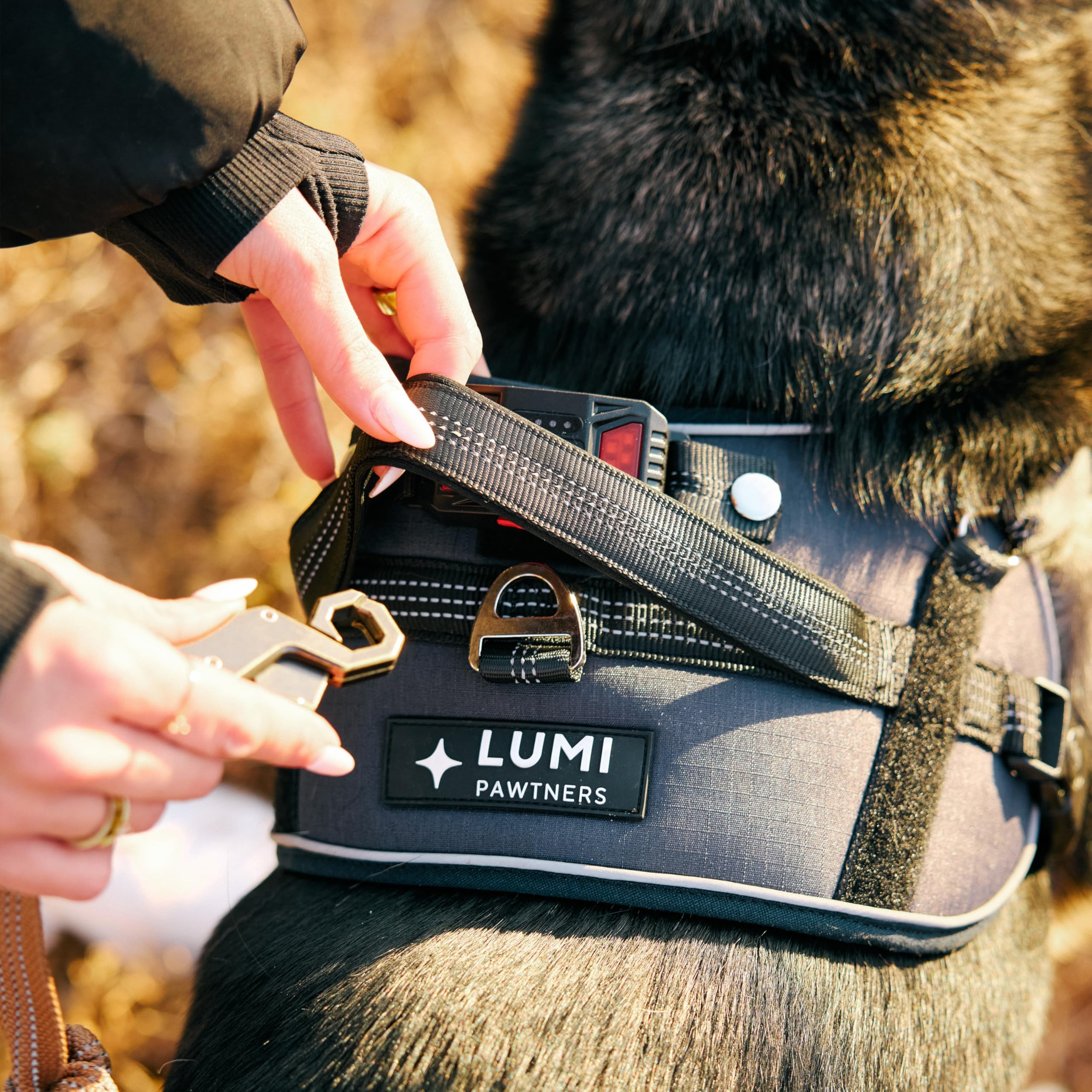 Lumi One LED-Hundegeschirr für Nachtsichtbarkeit und Sicherheit, zum Patent angemeldet - Warnweste mit 1000 Lumen LED, wiederaufladbarer Akku, verstellbare Passform, reflektierender Rand (Schwarz