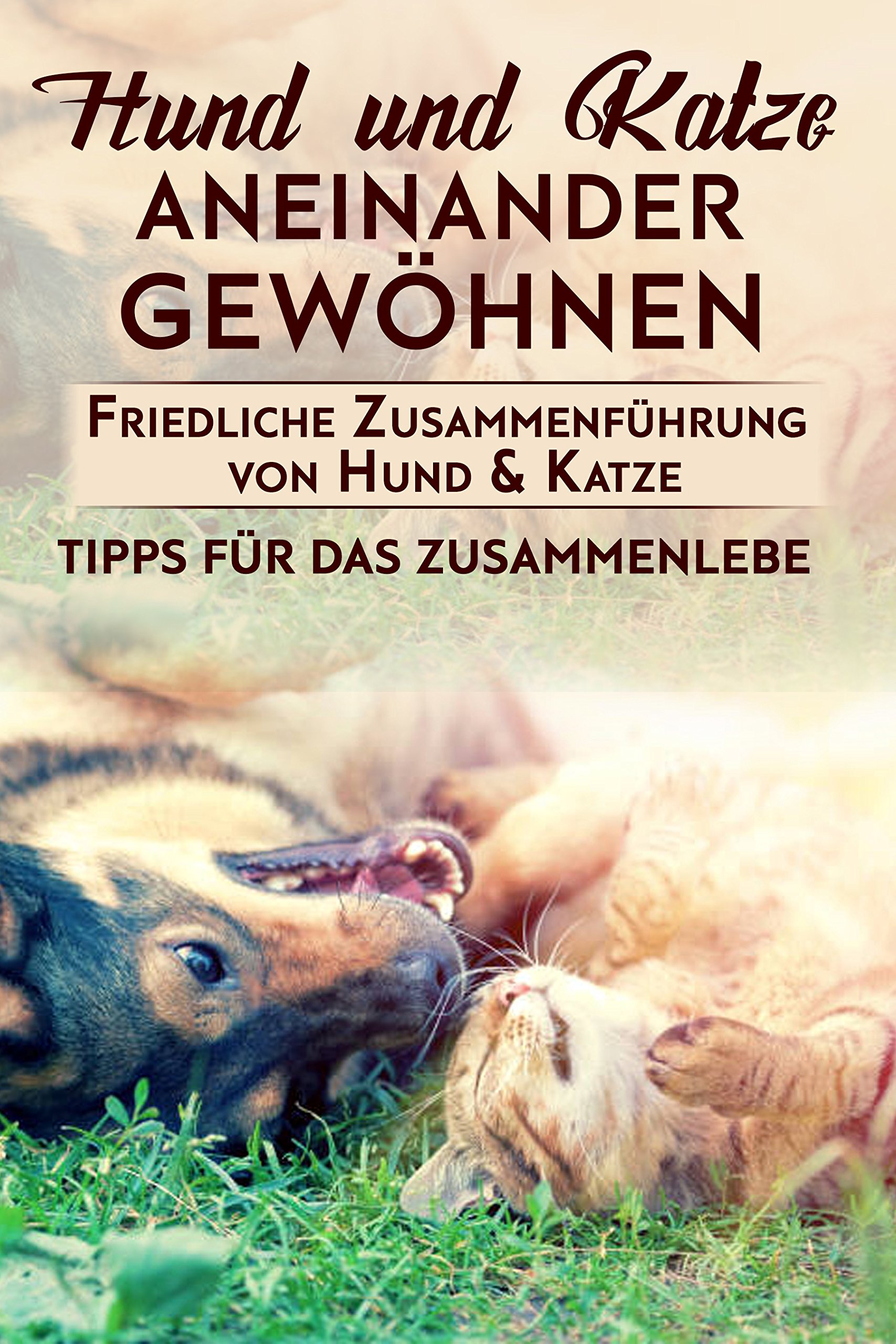 Hund und Katze aneinander gewöhnen : Friedliche Zusammenführung von Hund & Katze: Tipps für das Zusammenleben (German Edition)
