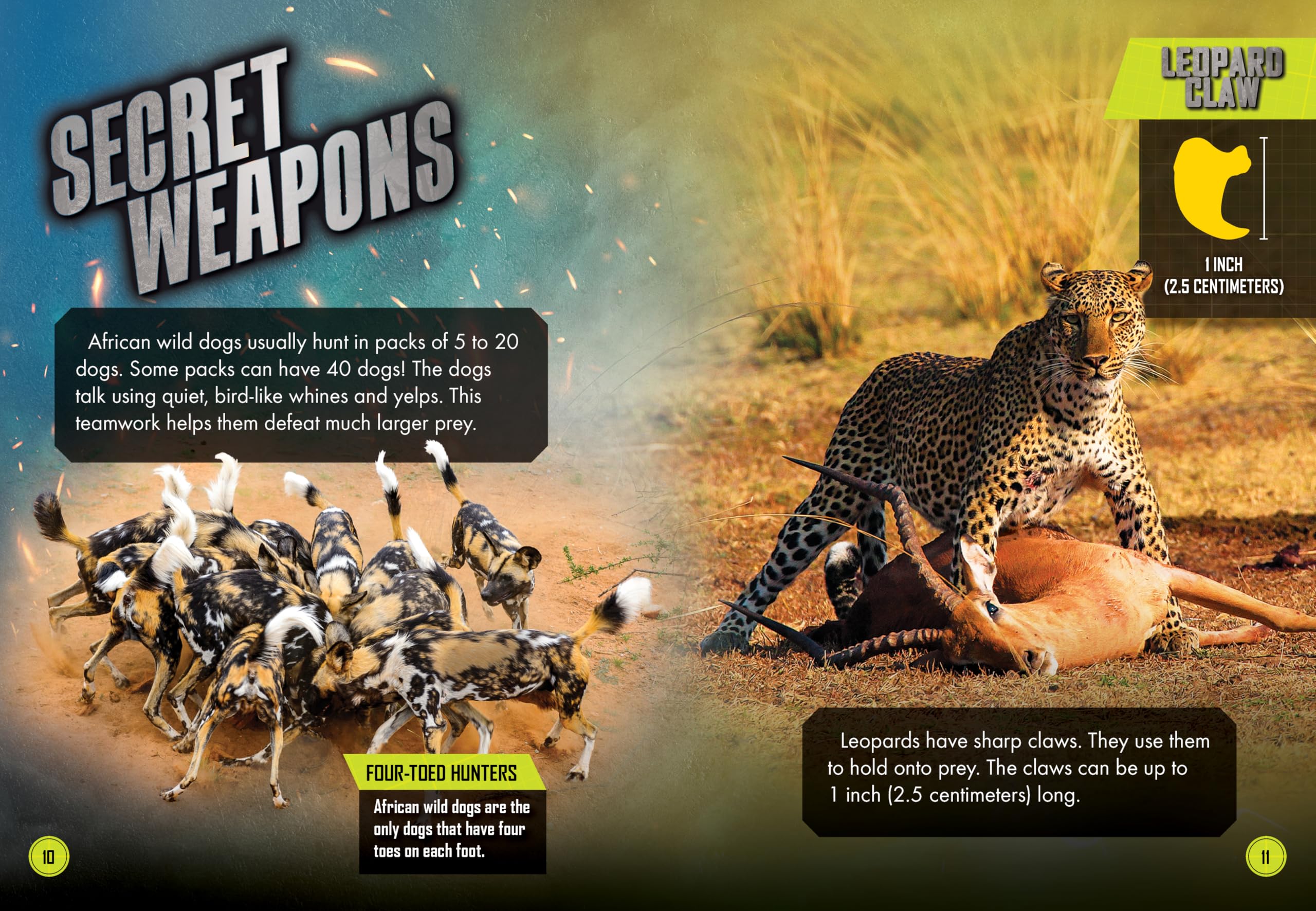 African Wild Dog Pack vs. Leopard