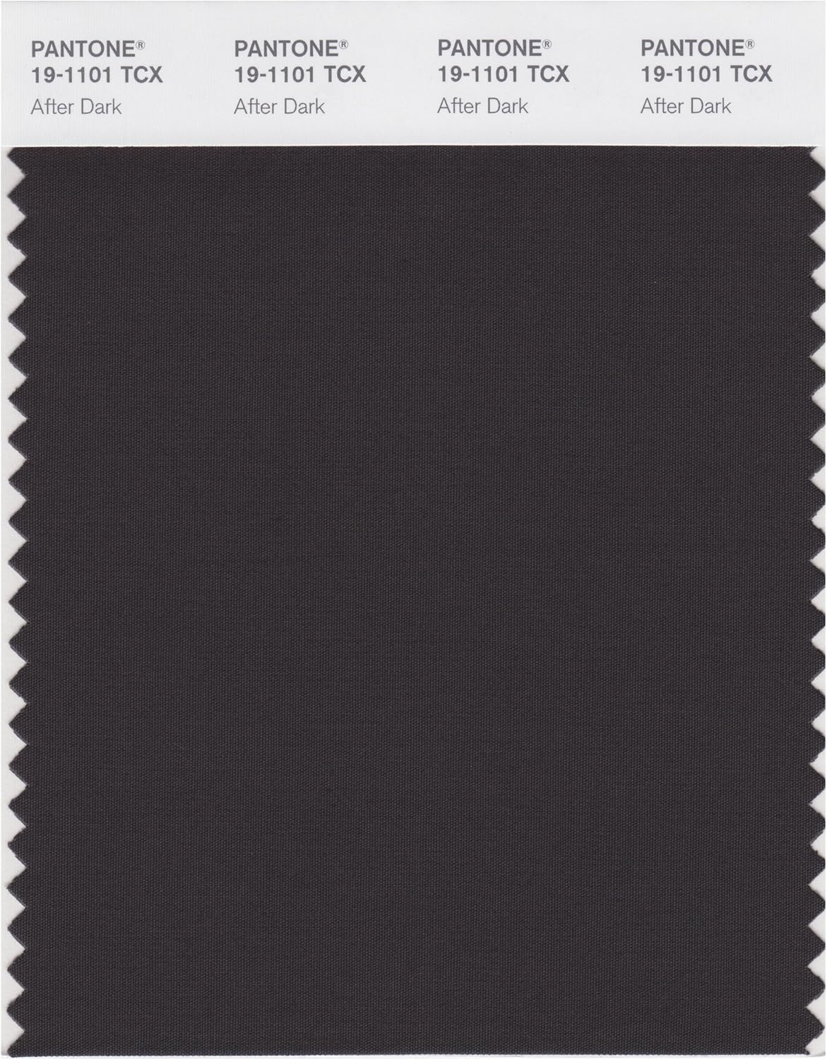 PANTONE Smart 19-1101X Color Swatch Card, After Dark