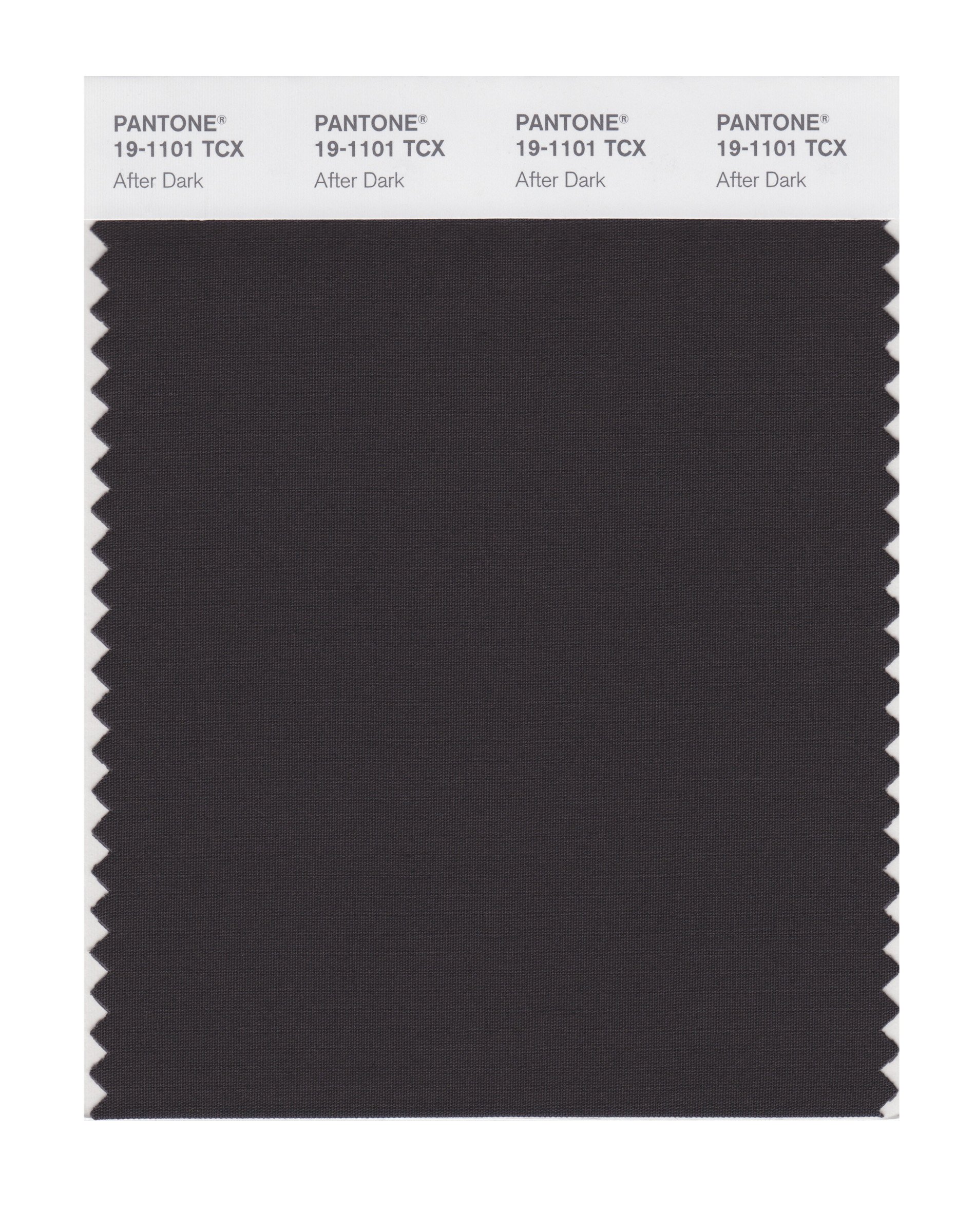 PantoneSMART 19-1101X Color Swatch Card, After Dark