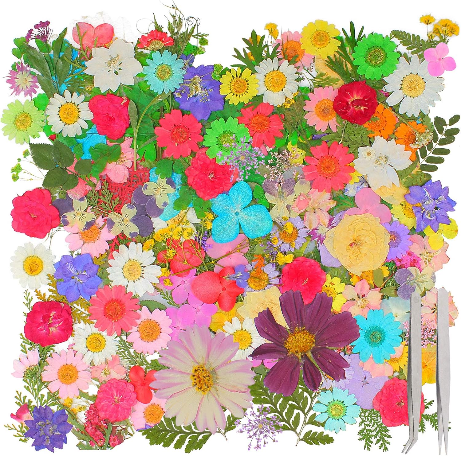 私らしさ』油絵 キャンバスアート ( 縦33×横24cm) 人差し指です。 成羽