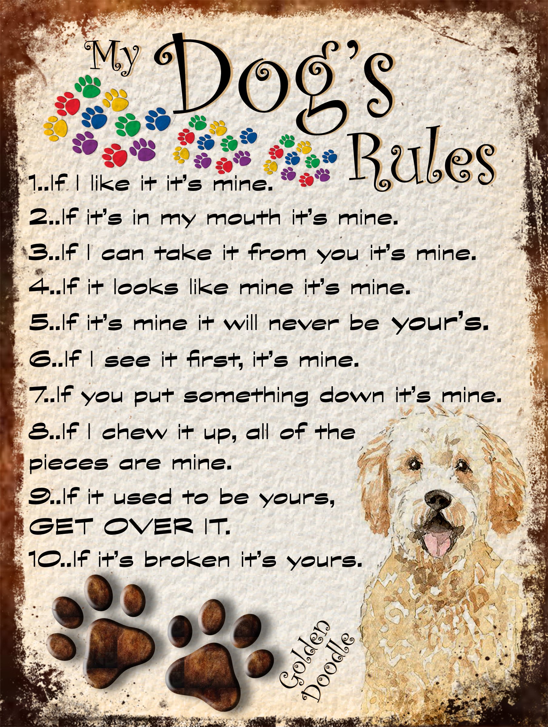 MY DOG'S RULES RETRO STYLE METAL TIN GOLDEN DOODLE DOG SIGN/PLAQUE THEME 10" X 8" (70DRM), Golden Doddle