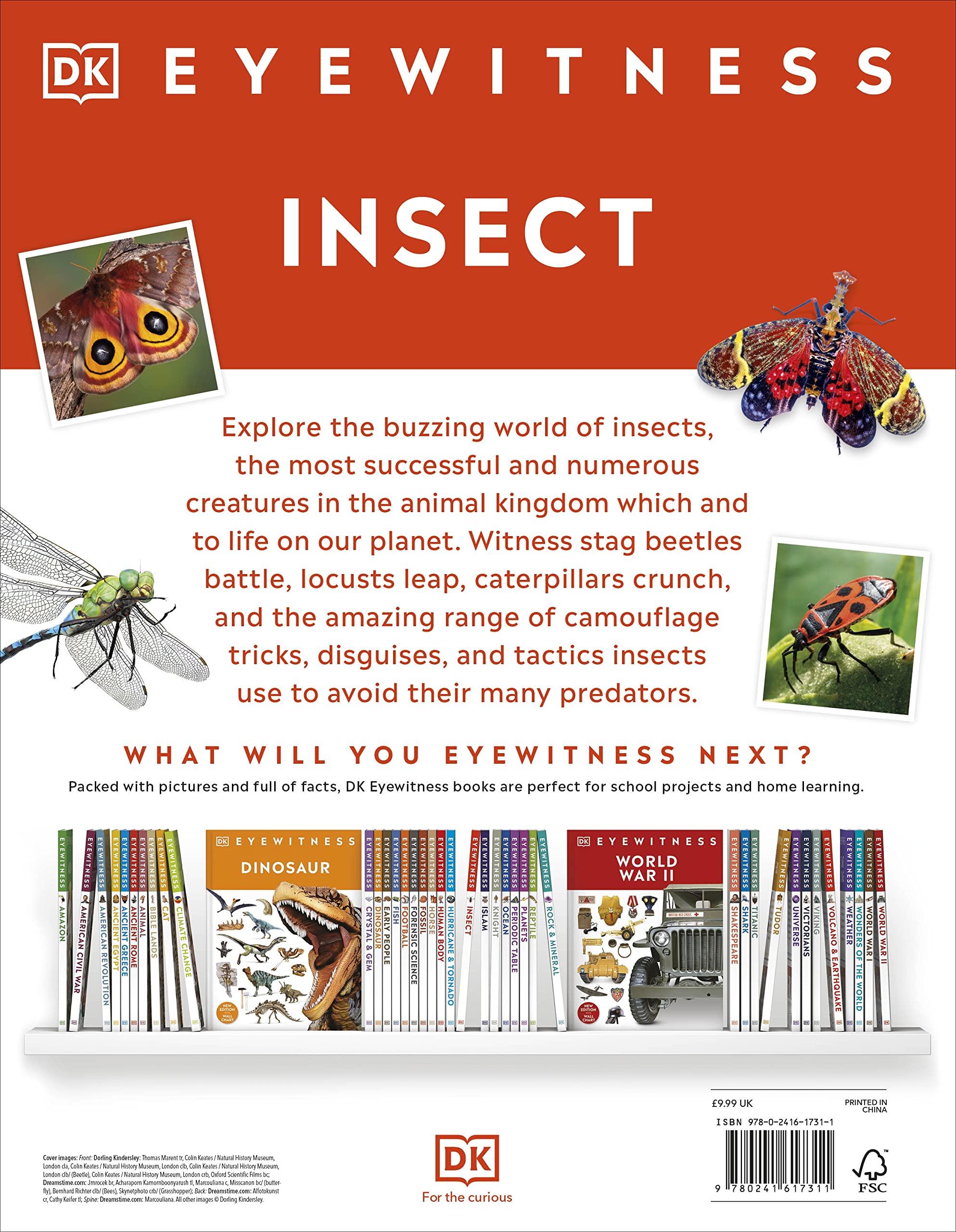 Insect: DK Eyewitness