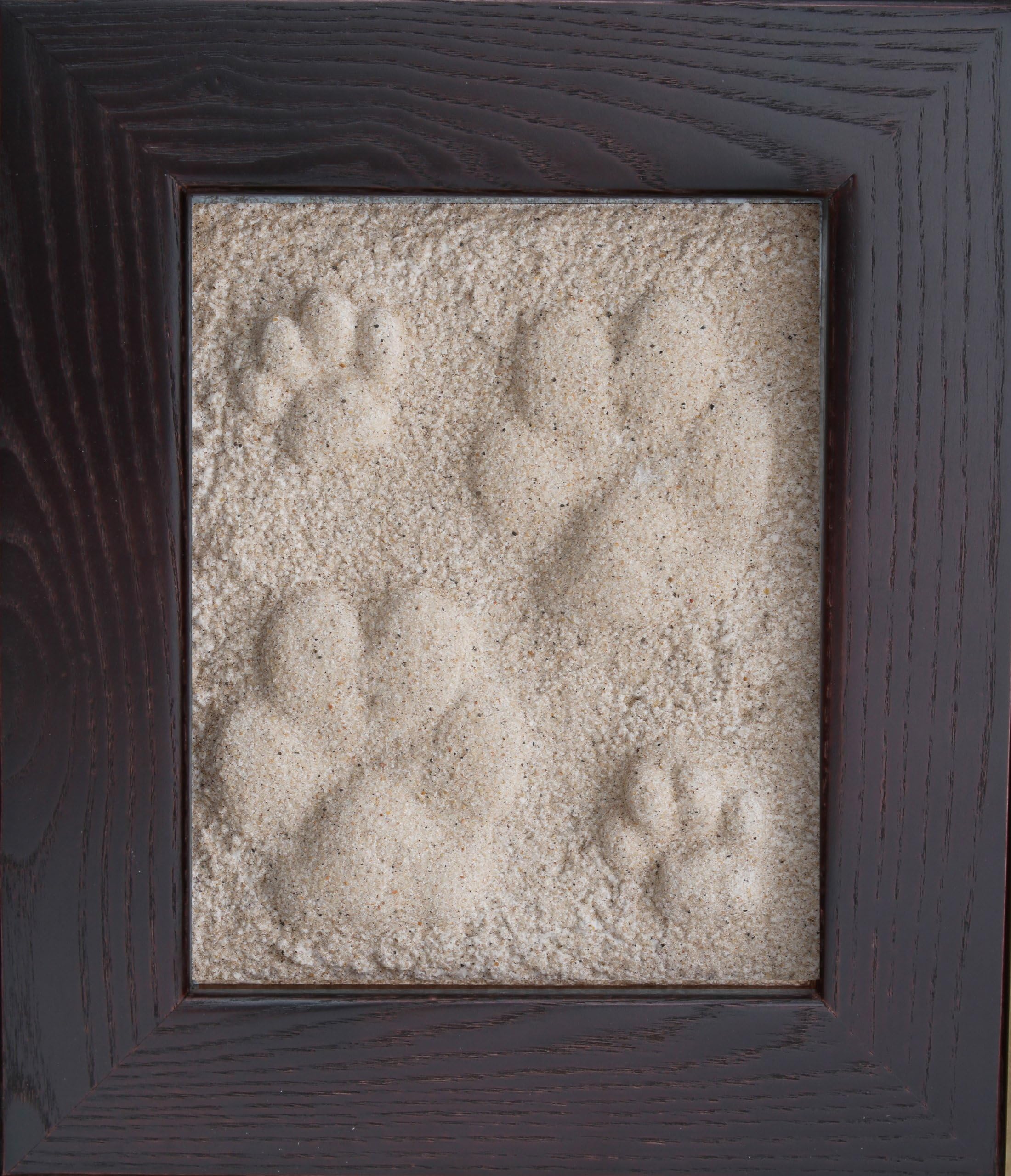 Continual Inspirations Pressions Pet Print Mahogany Kit
