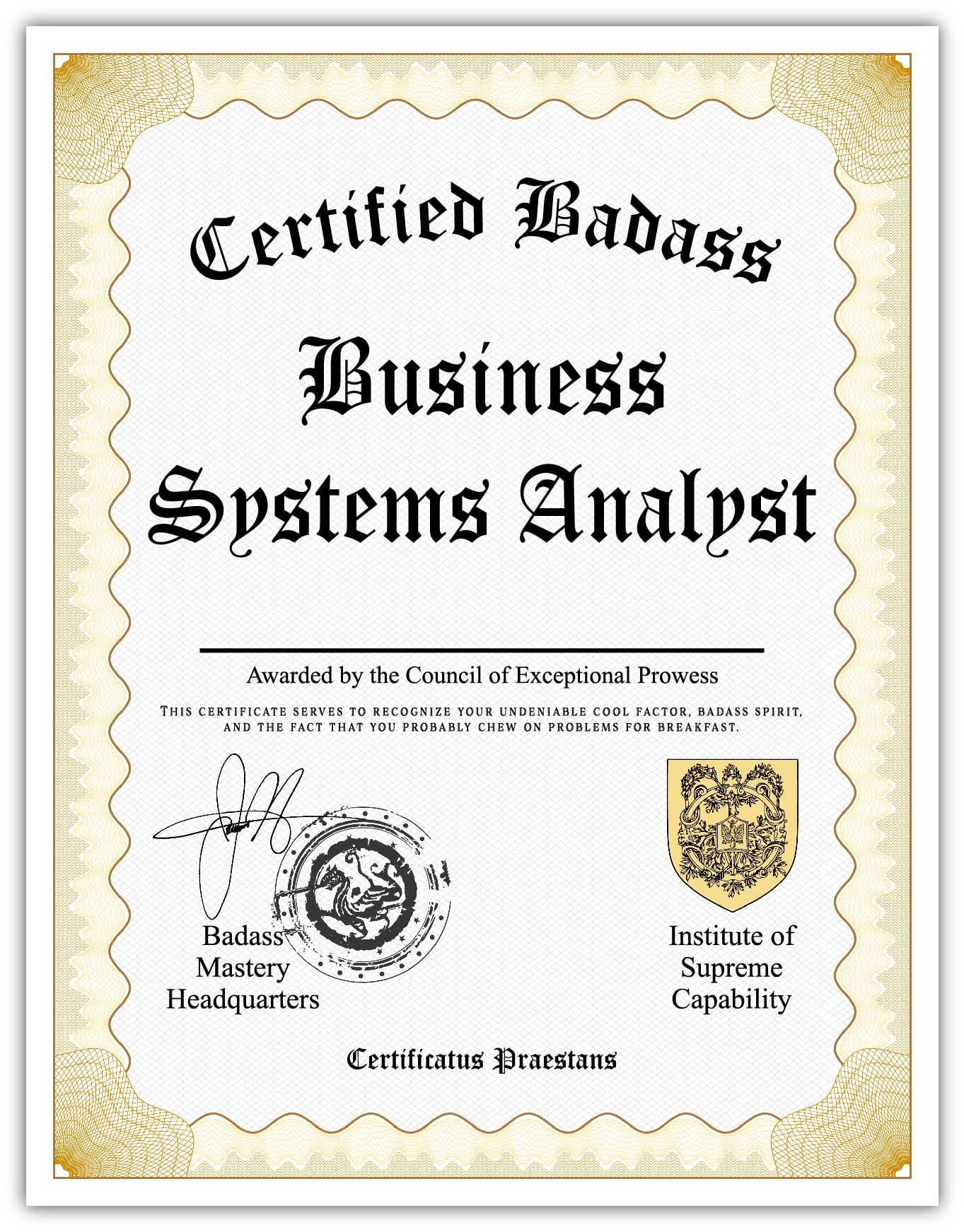 certified system analyst