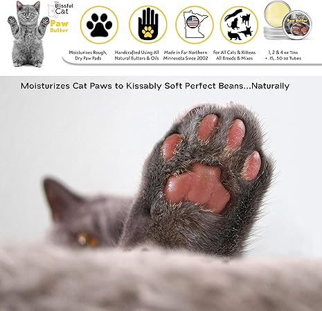 Amazon Com The Blissful Cat Paw Butter Pet Supplies
