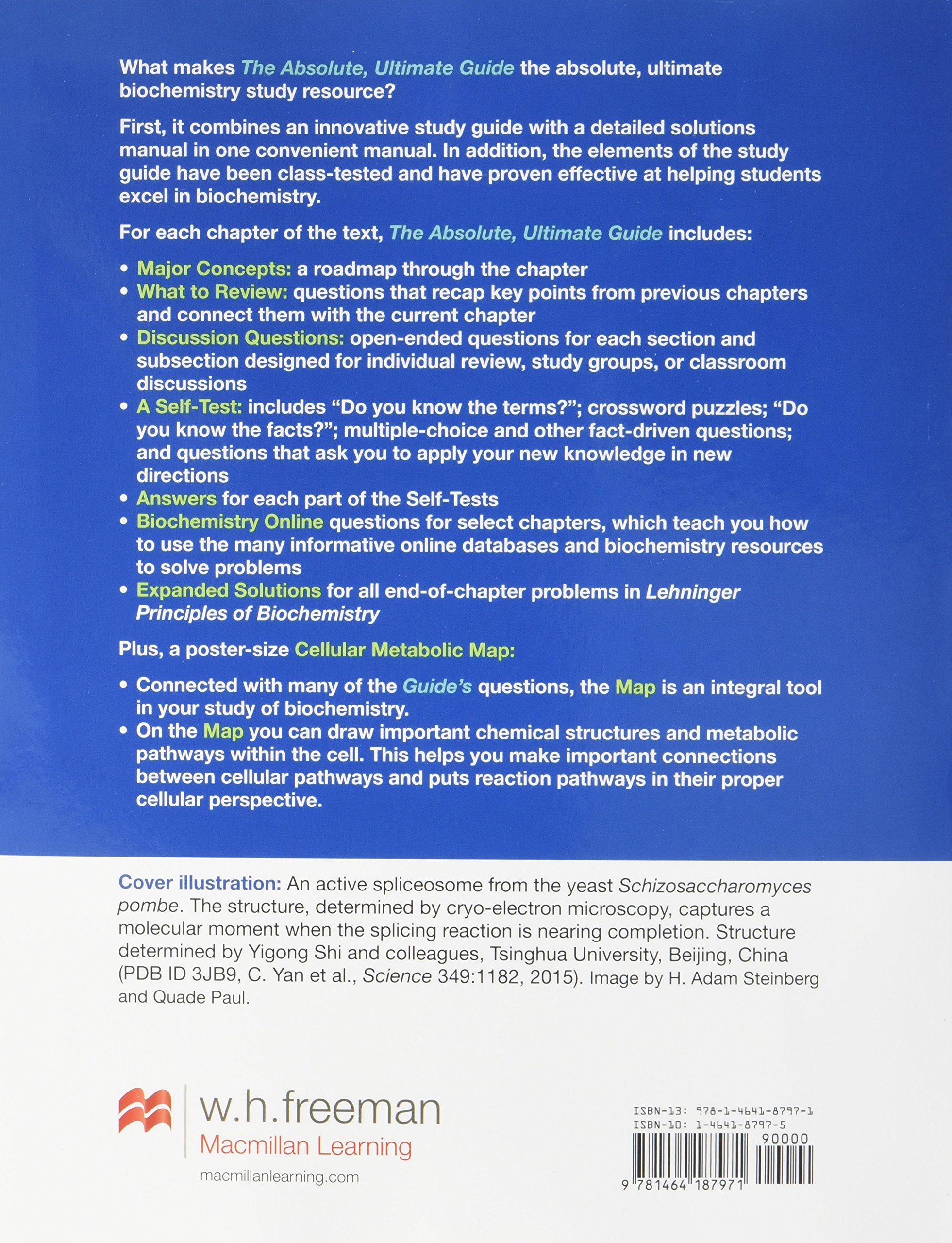 Absolute, Ultimate Guide to Principles of Biochemistry Study Guide and Solutions Manual