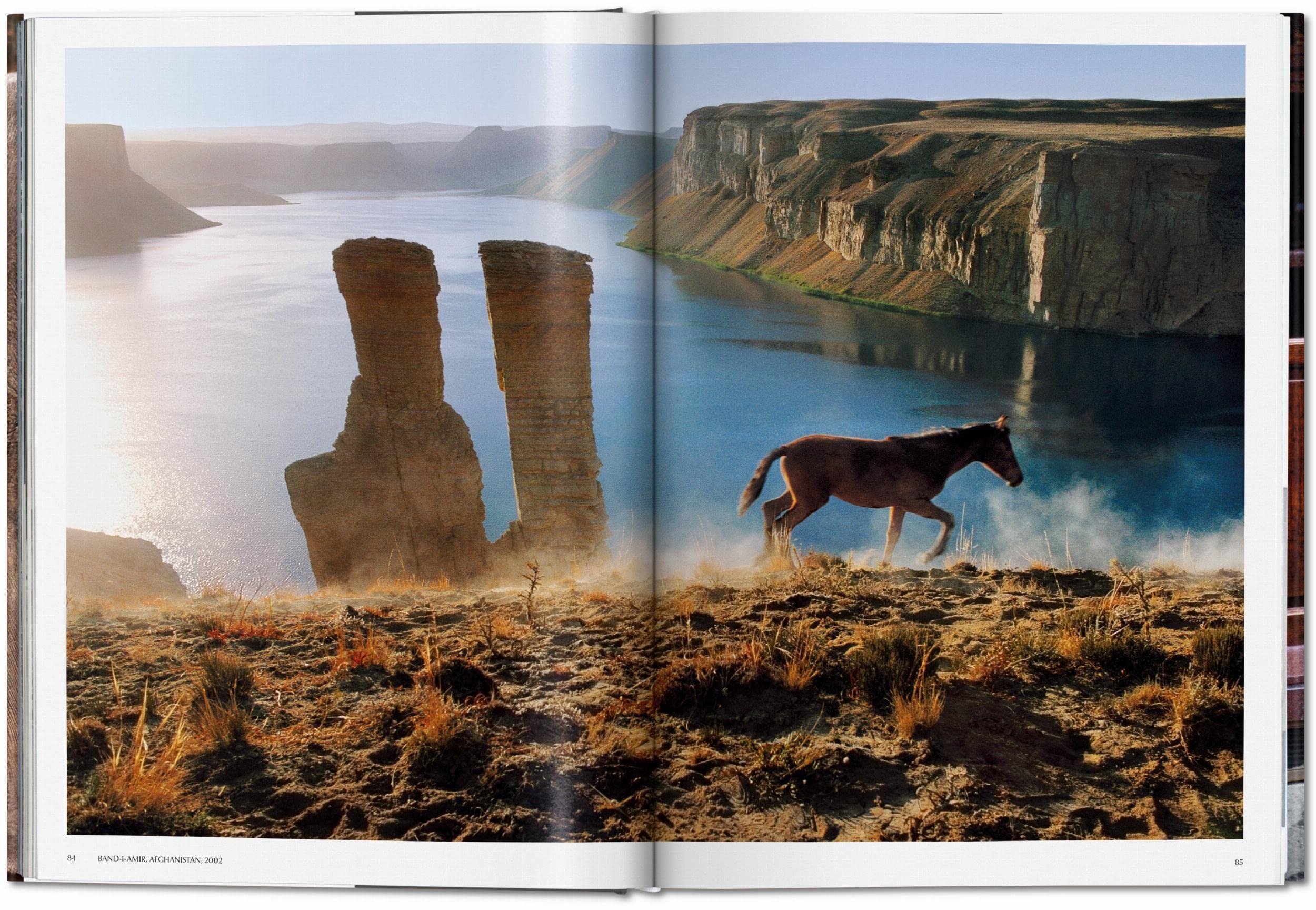 Steve McCurry. Animals: Mehrsprachige Ausgabe