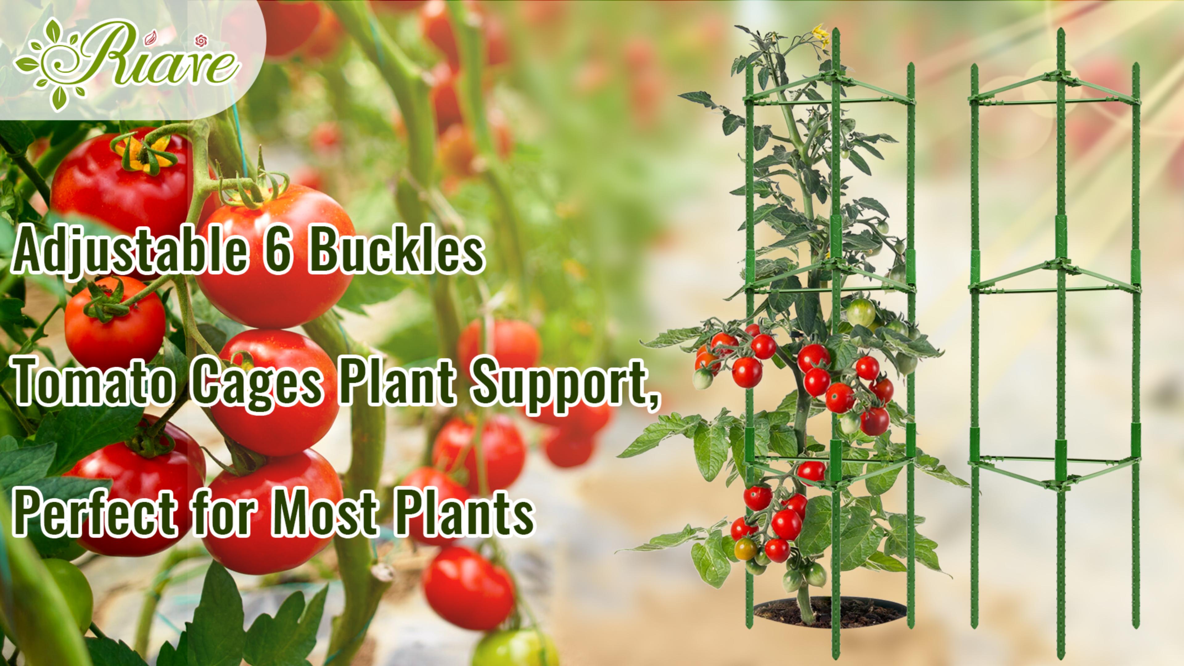 Plant Support Ring KLS 3 Pack Tomato Cage For Pots Plant Support ...