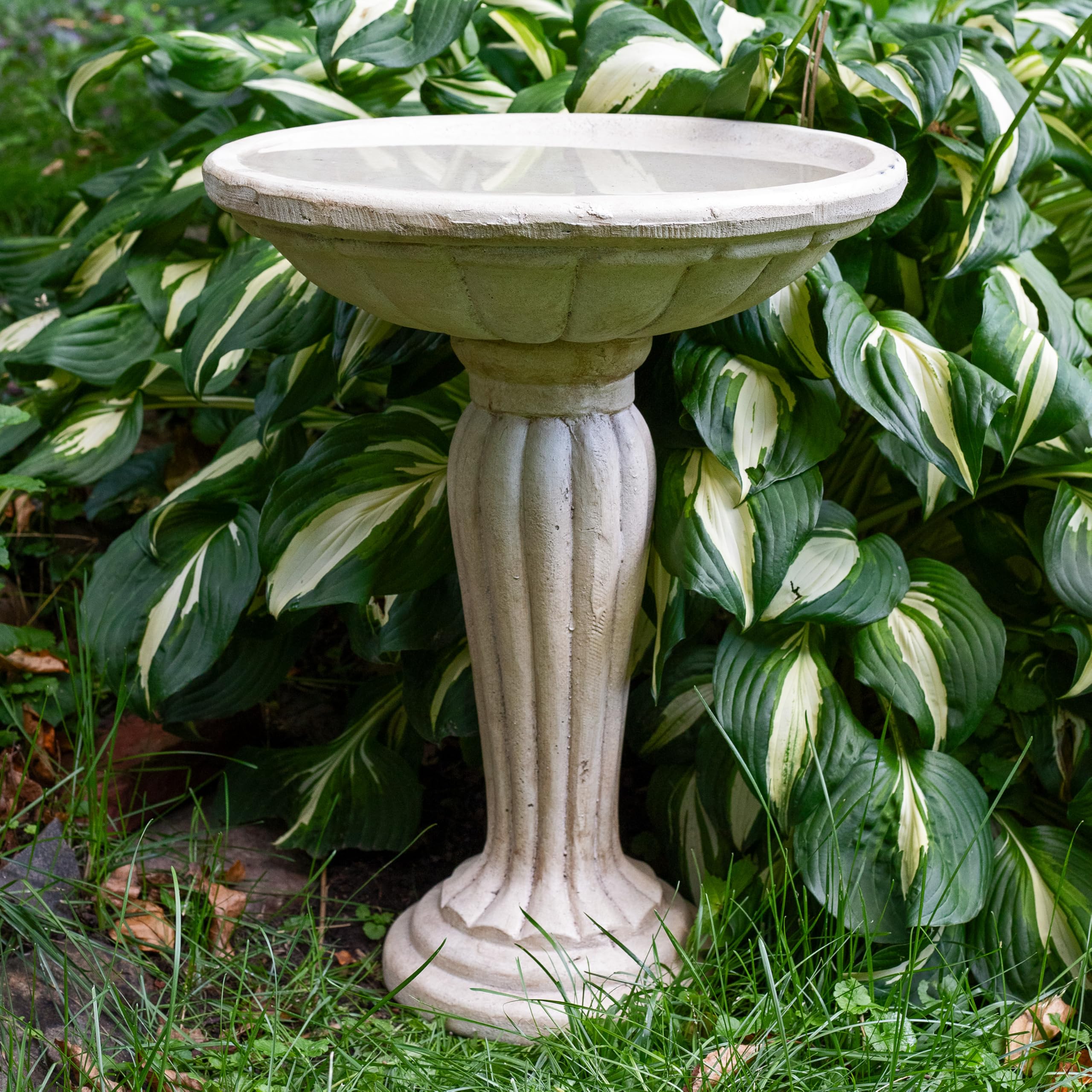 Where to Buy Concrete Bird Baths: Top Trusted Stores Revealed