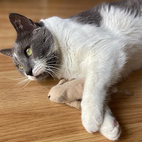 Miniatura 10 de SPOT Ratón Plano Frankie con Hierba Gatera - Juguetes para Gatos, Ratones de Peluche con Hierba Gatera y Sonido de Crujido, Tamaño Perfecto para