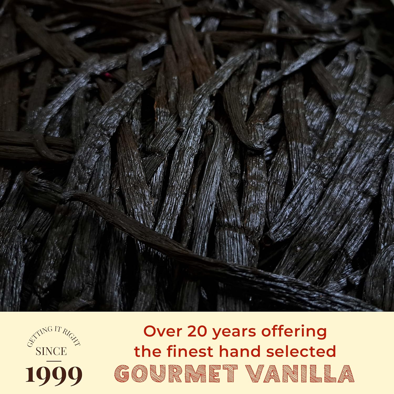 5 Lb. Vanilla Beans Grade A, Premium Whole Vanilla beans Bulk, 6-8 Inches, Gourmet Vanilla Bean Pods for Extract & Baking - NYVanilla