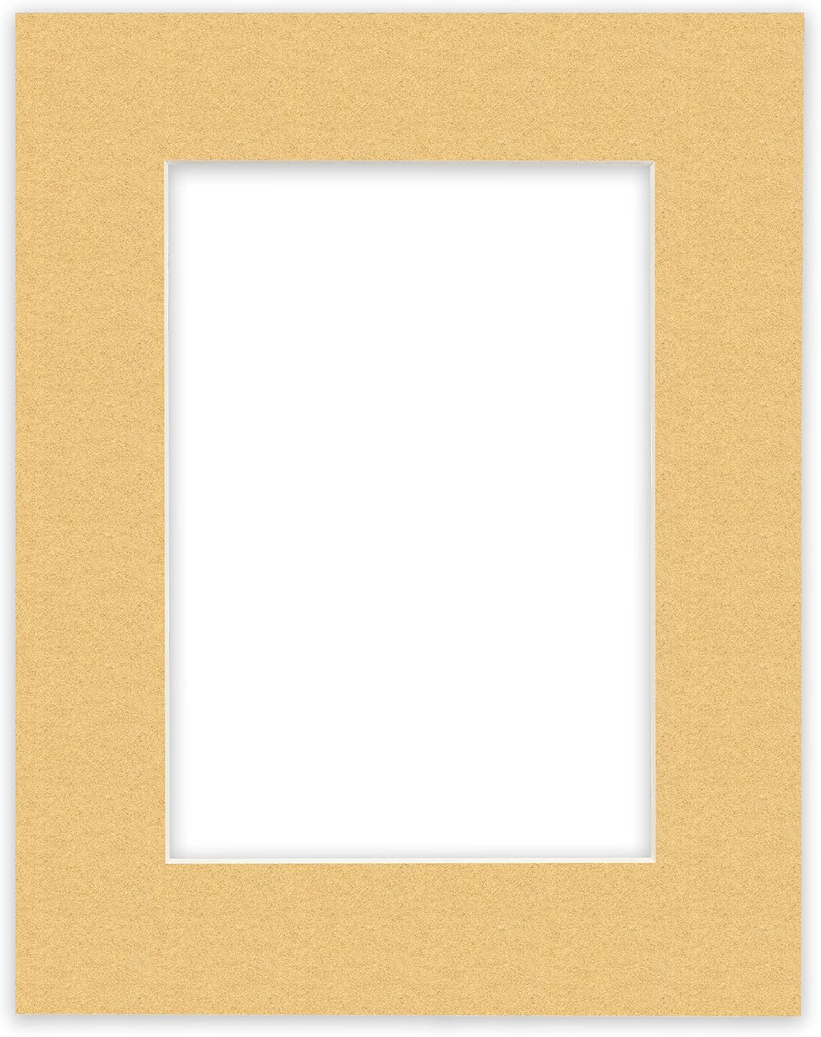 Craig Frames B5075 Pre-Cut Mat Board for 16x16 Print, 20x20, Frosted Gold