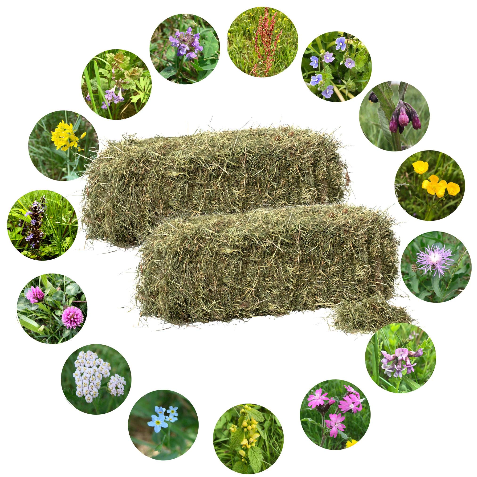 Jumbogras® NATURHEU 1.u.2. Schnitt: Qualitäts-Kleintier-Futter, Heu für Kaninchen/Hasen & Nager - Heuballen verschnürt, aus der größten Heumilch-Region Europas in Österreich (2 x 18-20 kg)