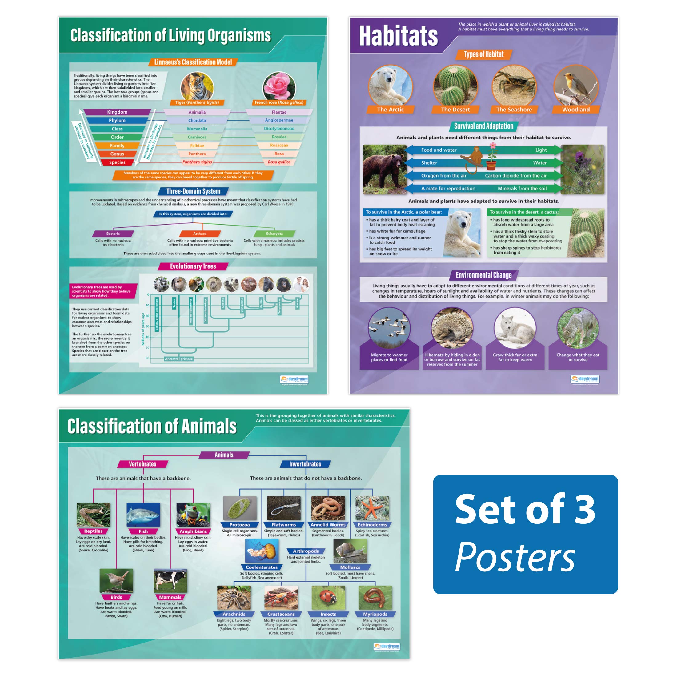 Daydream Education Animals & Habitats Classroom Posters - Set of 3 - EXTRA LARGE - A1 (850mm x 594mm) - Gloss Paper - Science Secondary School Wall Charts