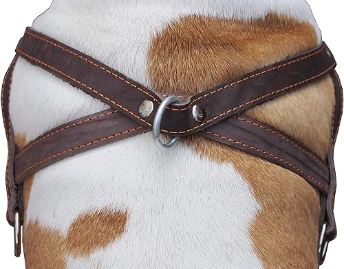 Miniatura 4 de Perro Arnés Pulling Walking de piel color café grande. 31"-35" Pecho, 1.5" tirantes anchos