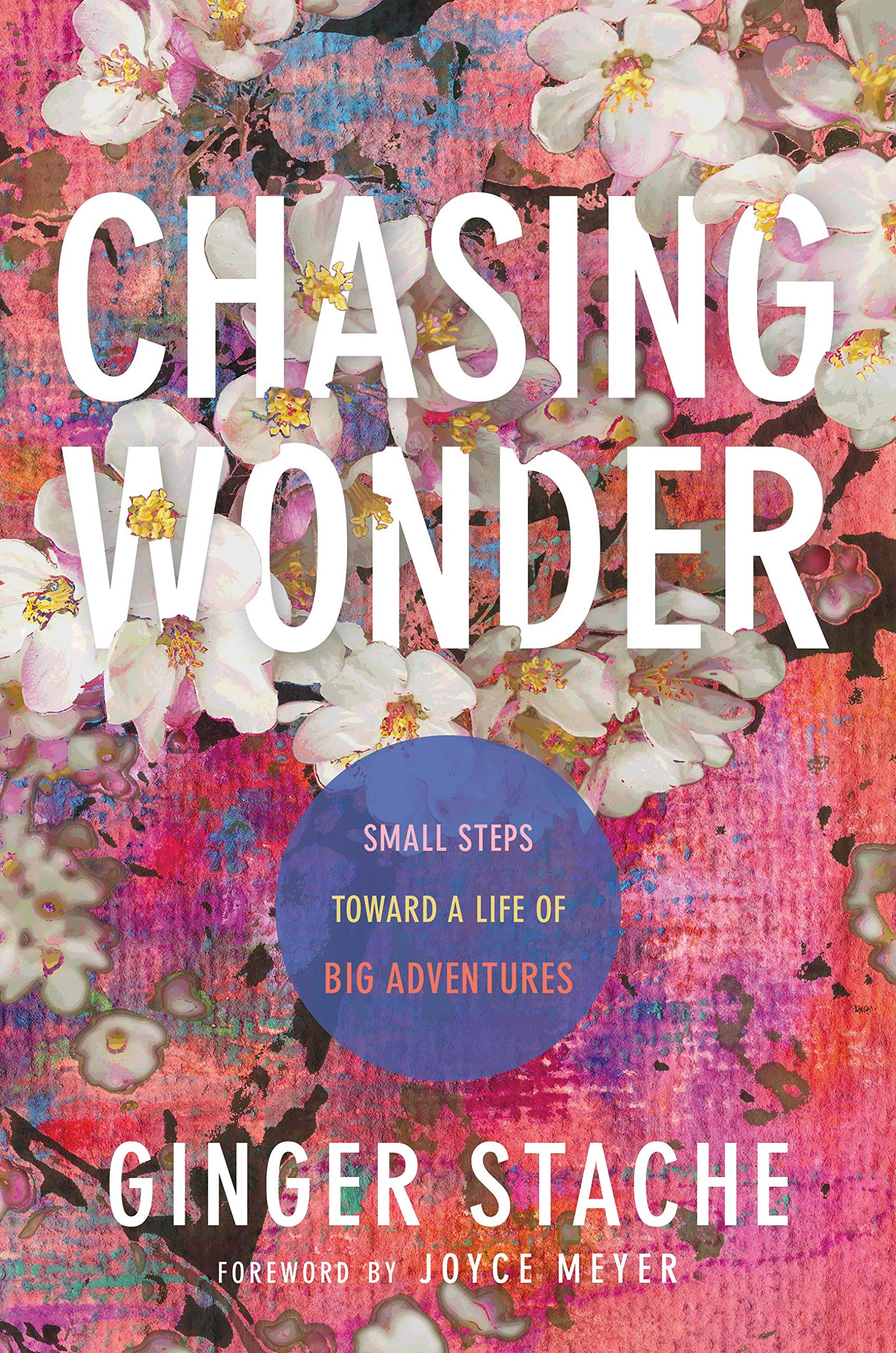Buy Chasing Wonder: Small Steps Toward a Life of Big Adventures — BookShops.in