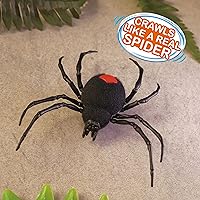 Vista 4 de Robo Alive ZURU - Paquete de 2 juguetes robóticos con batería de araña gateante