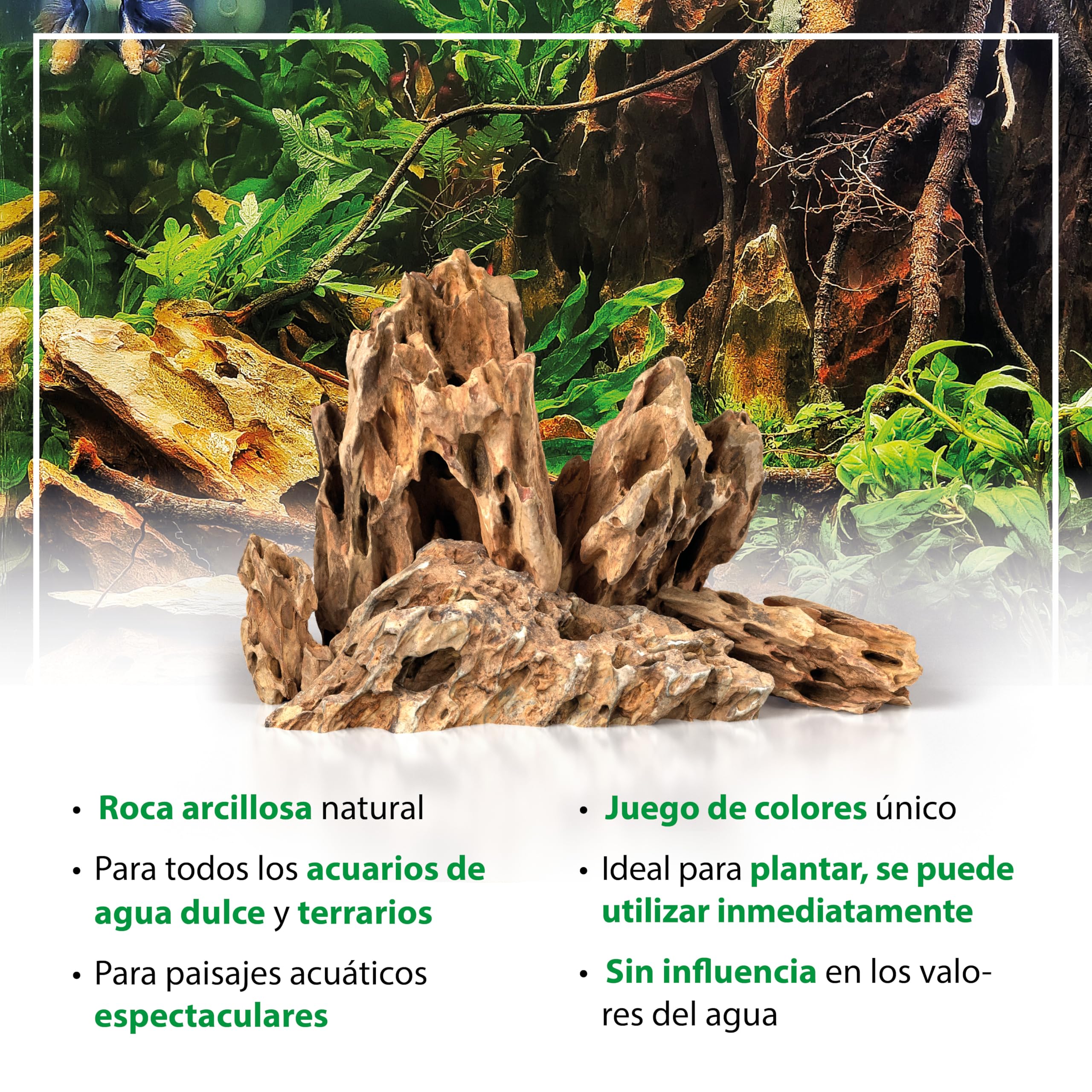 ARKA Set Rocas Dragon 10 kg mySCAPE – Piedras Naturales 10–30 cm para Nano aquascaping y paisajes creativos – aptas para acuarios Dulces pequeños – decoración plantable sin Bordes ni químicos