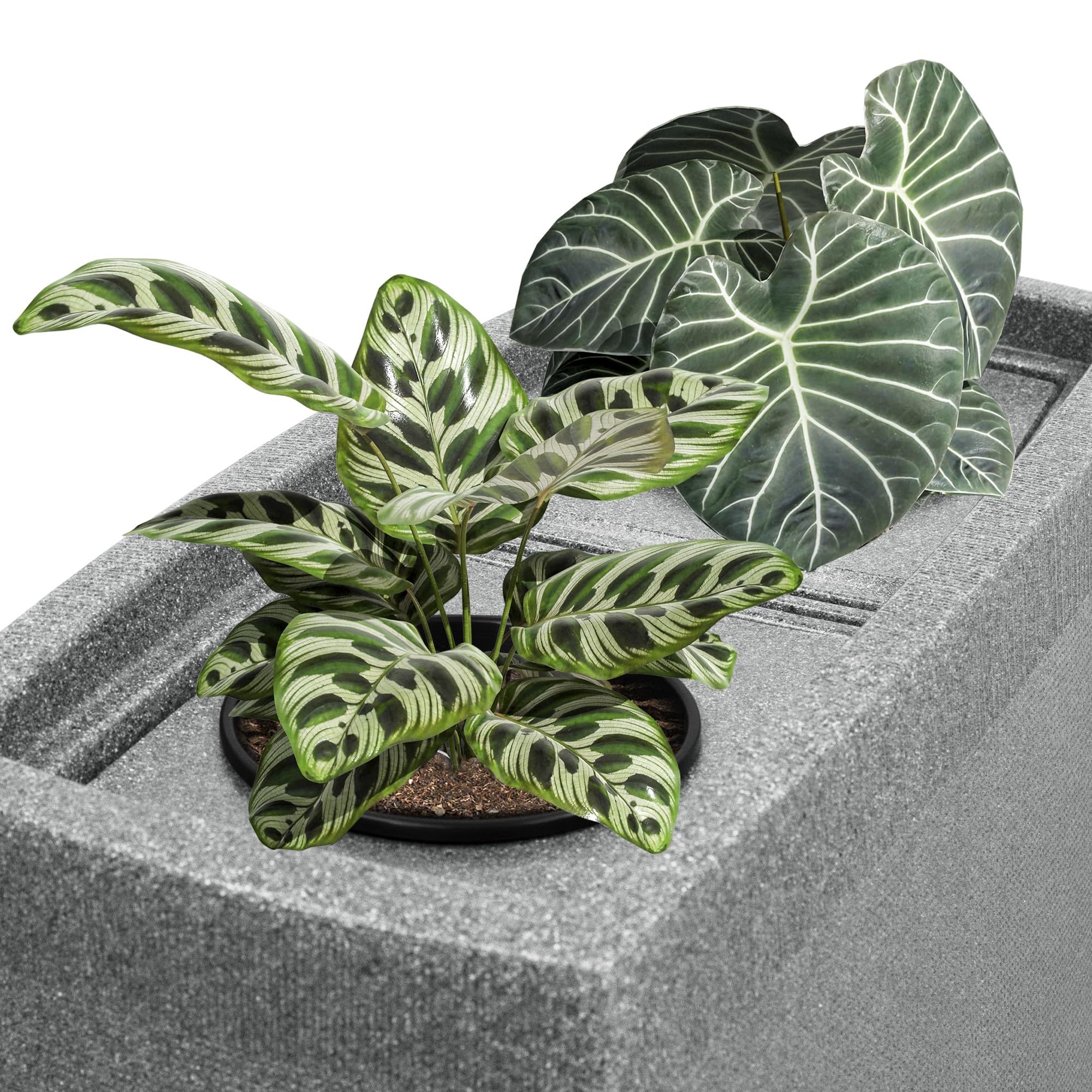 YourCasa Regentonne 275 Liter [SquareLux Rain] Eckig & Schmal - Metallgewinde und Deckel- Regenfass Frostsicher aus Kunststoff - Regenwassertonne - Regenwassertank Garten Wassertank (Grau)