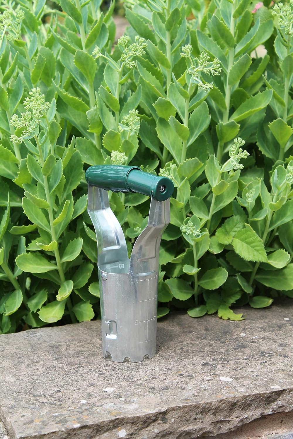 729 Bulb Planter, Green and Metal
