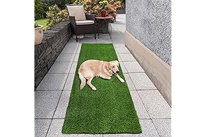 Falflor Realistic Fake Grass Turf Runner in 2x6 ft
