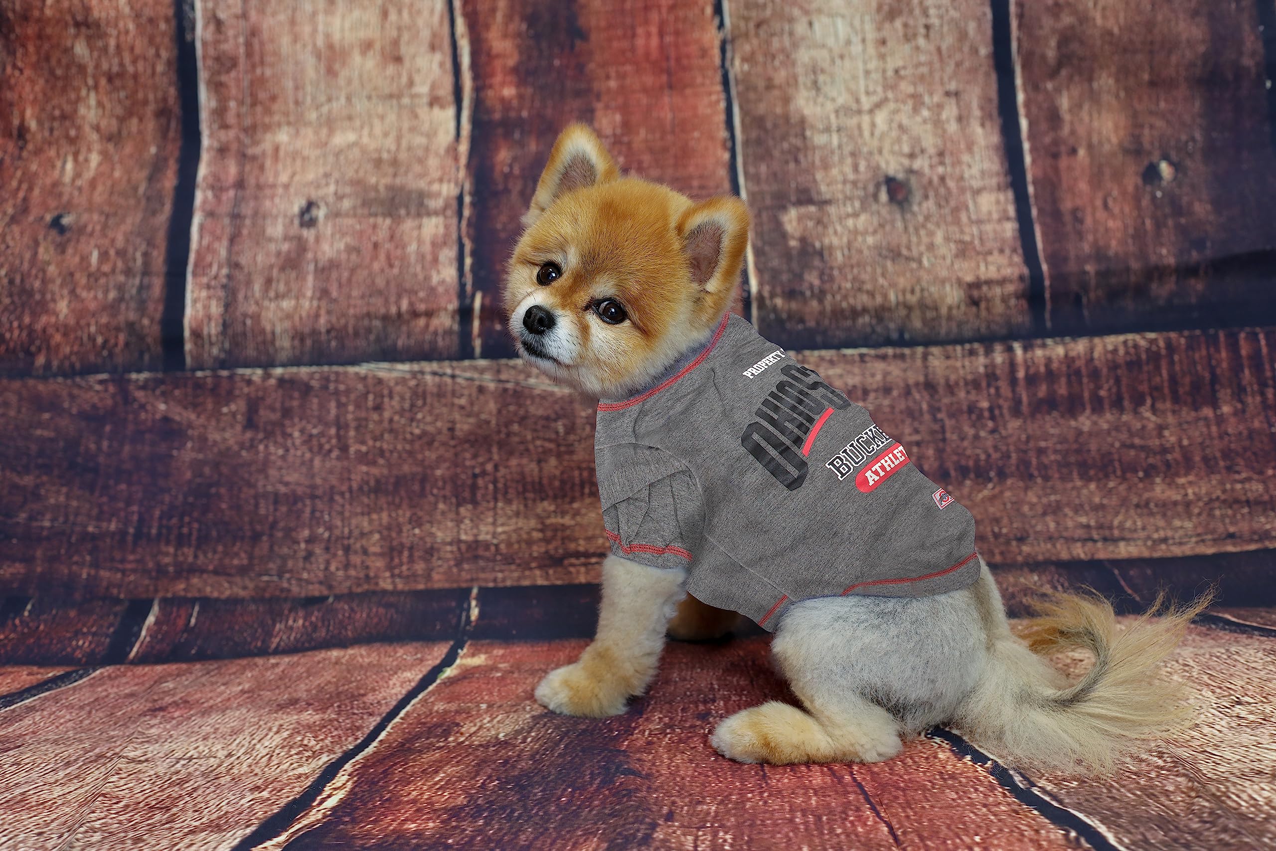 NCAA Pet T-Shirt – Lizenziertes Team-Shirt Für Hunde & Katzen, 100% Polyester-Baumwolle, In 5 Größen & 52 Team-Optionen