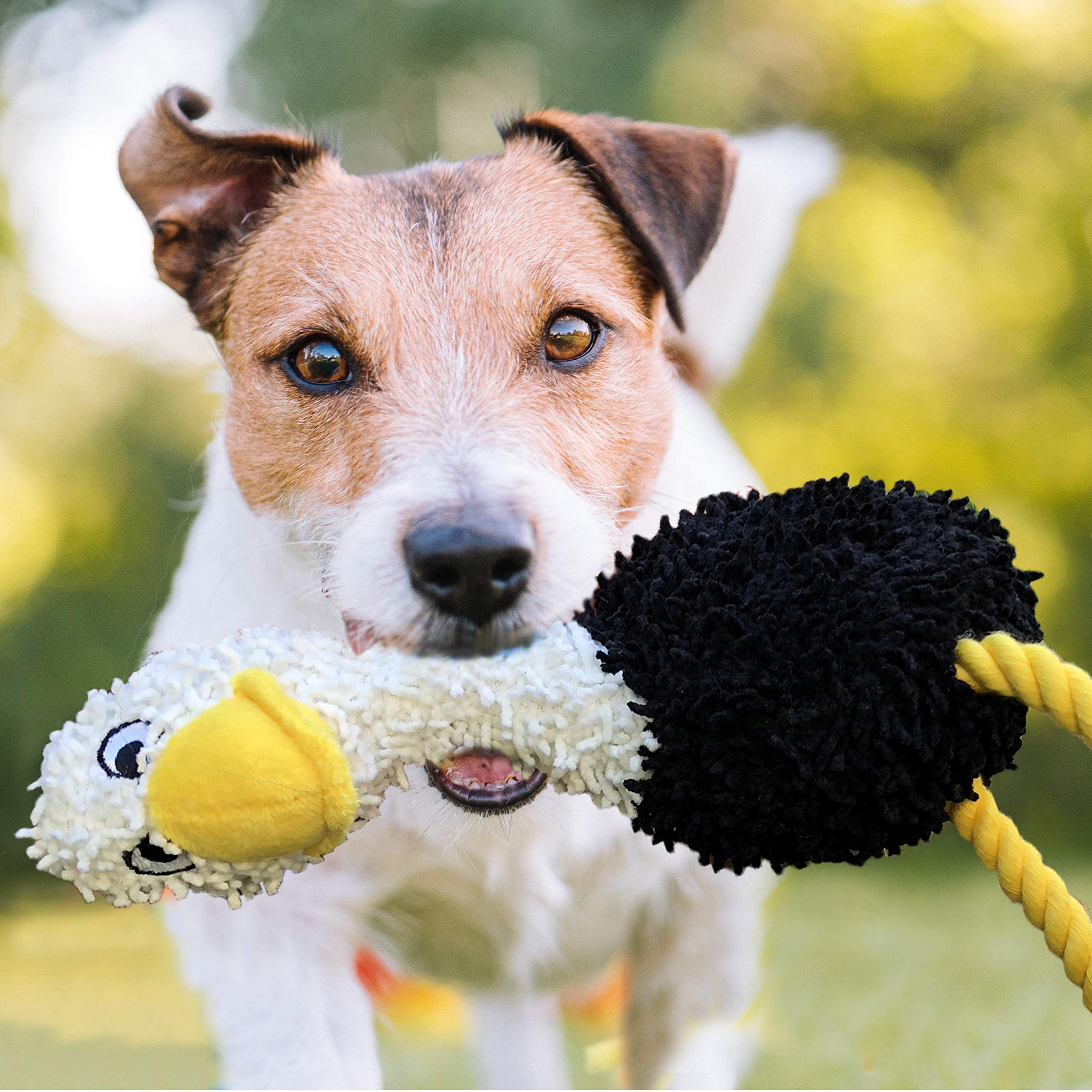 Hunde Kauspielzeug für Aggressive Kauer