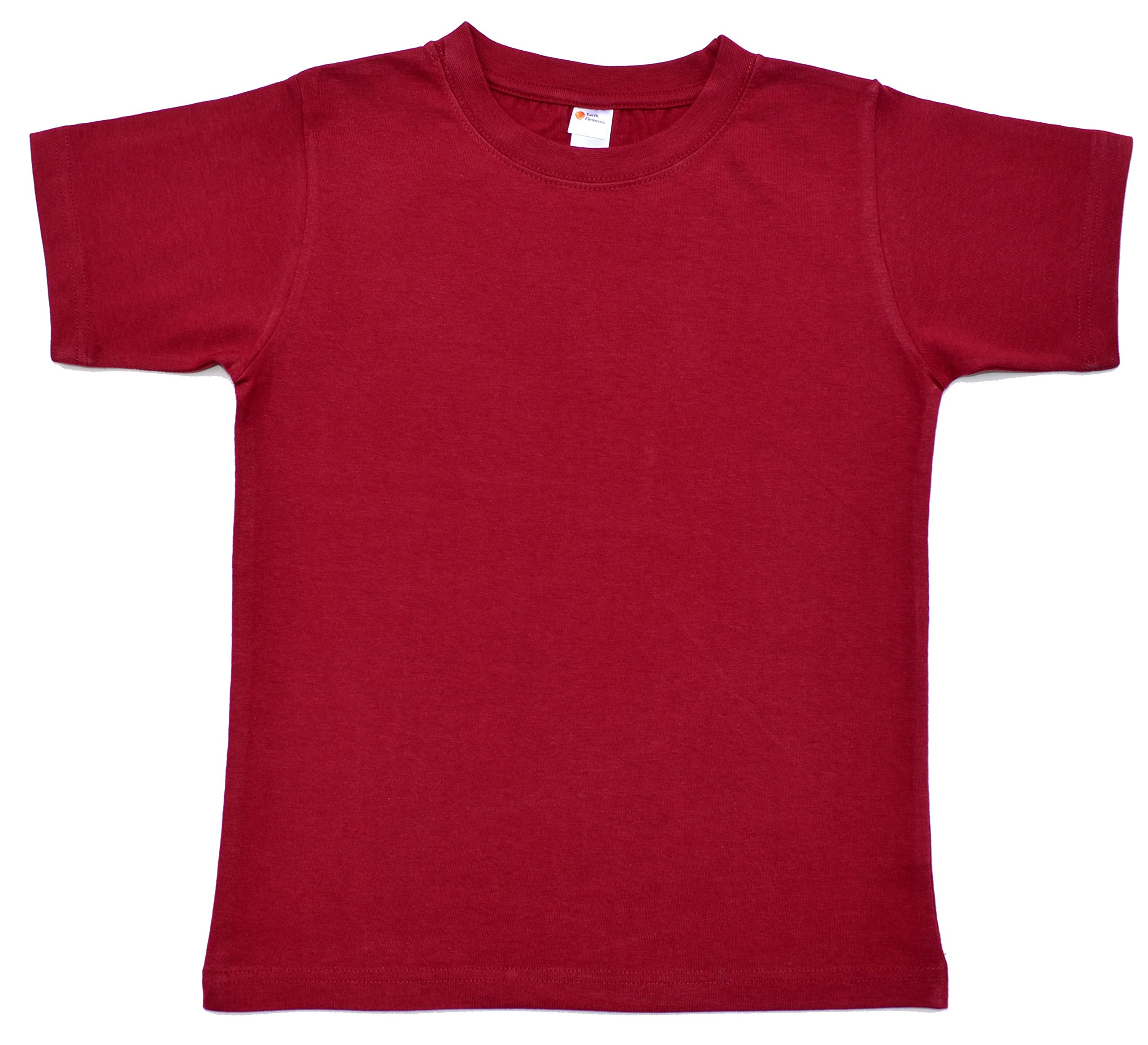 Earth Elements Little Kids'/Toddlers' Short Sleeve T-Shirt