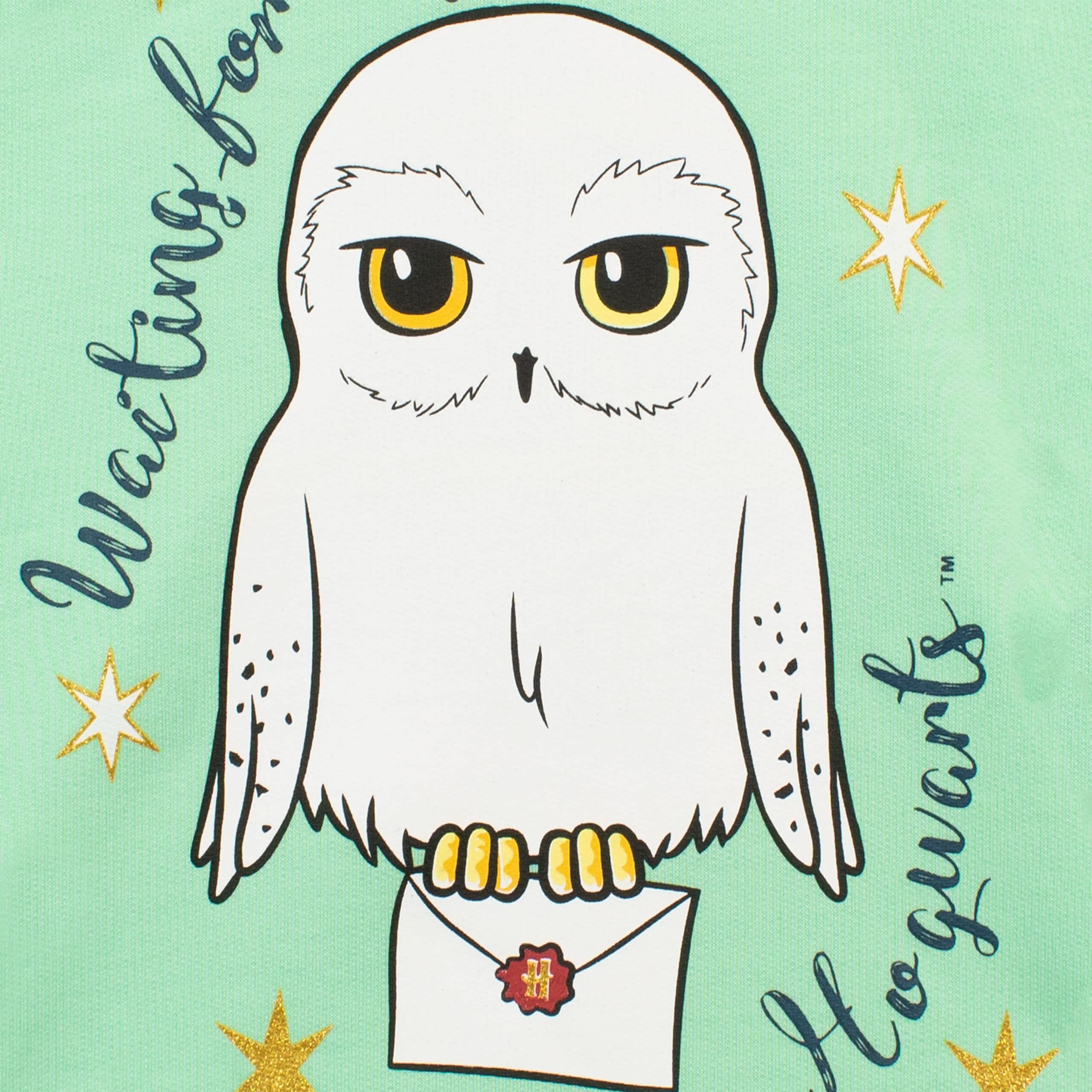 Harry Potter Sudadera Niña | Sudaderas Hedwig | Hoodie para Ninos