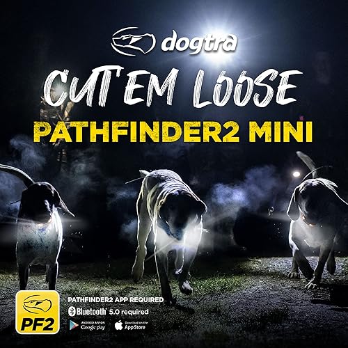 Miniatura 4 de Dogtra Pathfinder 2 Mini - Collar de entrenamiento de caza de perros con control remoto, recargable para perros pequeños, medianos y grandes, collar