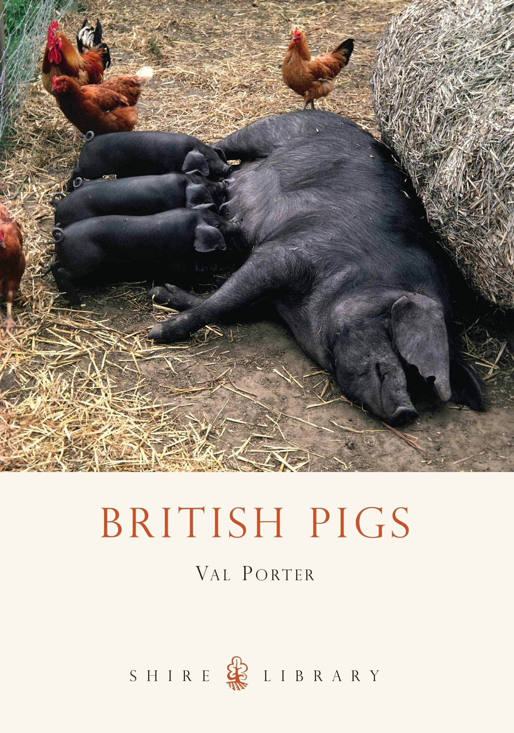British Pigs (Shire Library) By Val Porter
