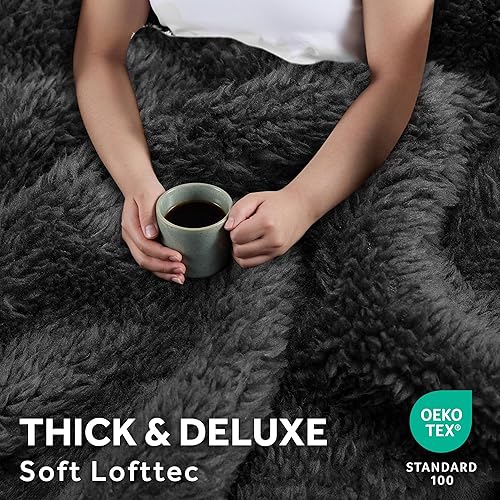 Miniatura 4 de Sunbeam Loftec - Manta eléctrica eléctrica con conexión Wi-Fi, 10 ajustes de calor, apagado automático de 10 horas, calentamiento rápido, manta de