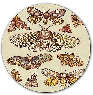 DJ Moth illustrations #1 Scratch Pad Vinyl Memorabilia 7