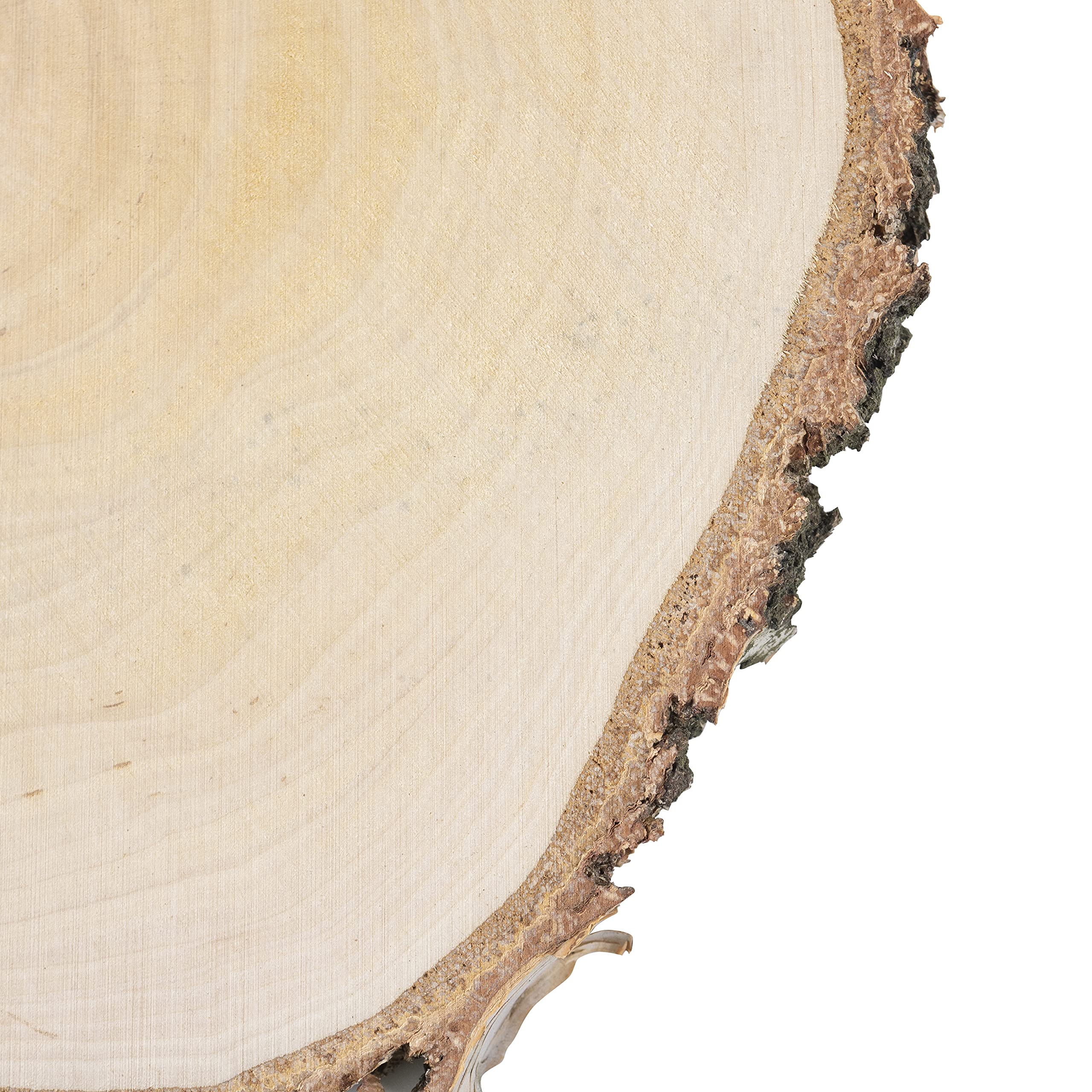 La Manuli Holzscheiben Rund, 25 Stück Groß, Durchmesser 25-28cm, 2.5 cm Dicke, Baumscheiben für DIY Handwerk, Tischdekoration, Gemälde, polierte Baumscheiben mit Rinde | Holzdeko zum basteln (25)