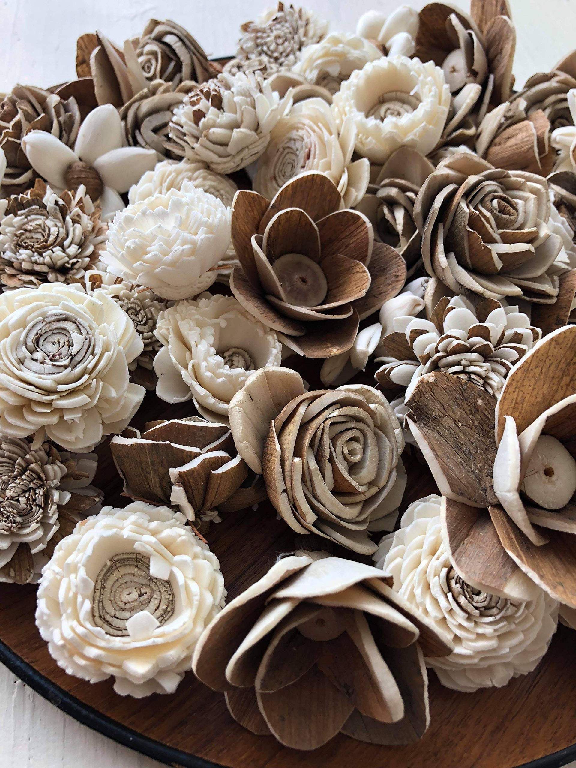 w.o.d.　F.L.O.W.E.R.S. Sola Wood Flower - Barkie Smalls- Assortment : Amazon.ca: Home