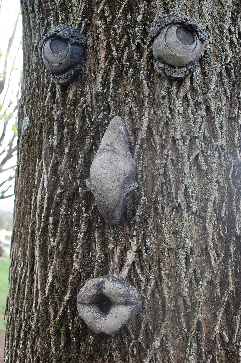 Concrete Collective Nostril-Damus with Small Eyes 12" x 10" Cast Stone Forest Face Tree People Yard Art (Weathered)