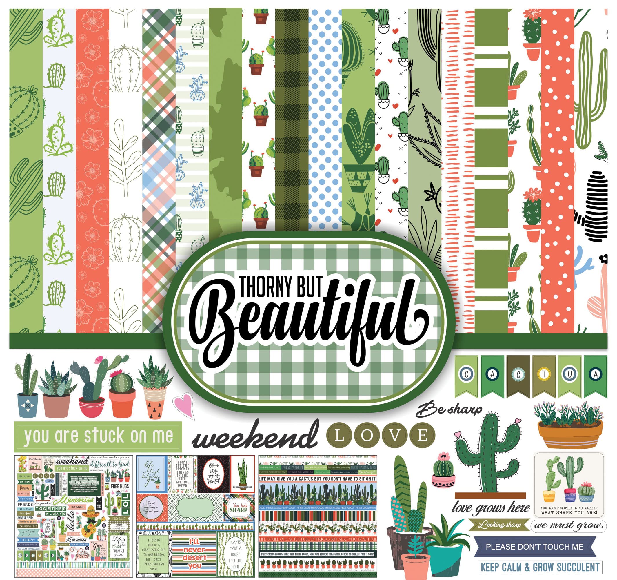 Scrapbook paper kit Thorny Mais Belle 12x12 pour création d'album photo