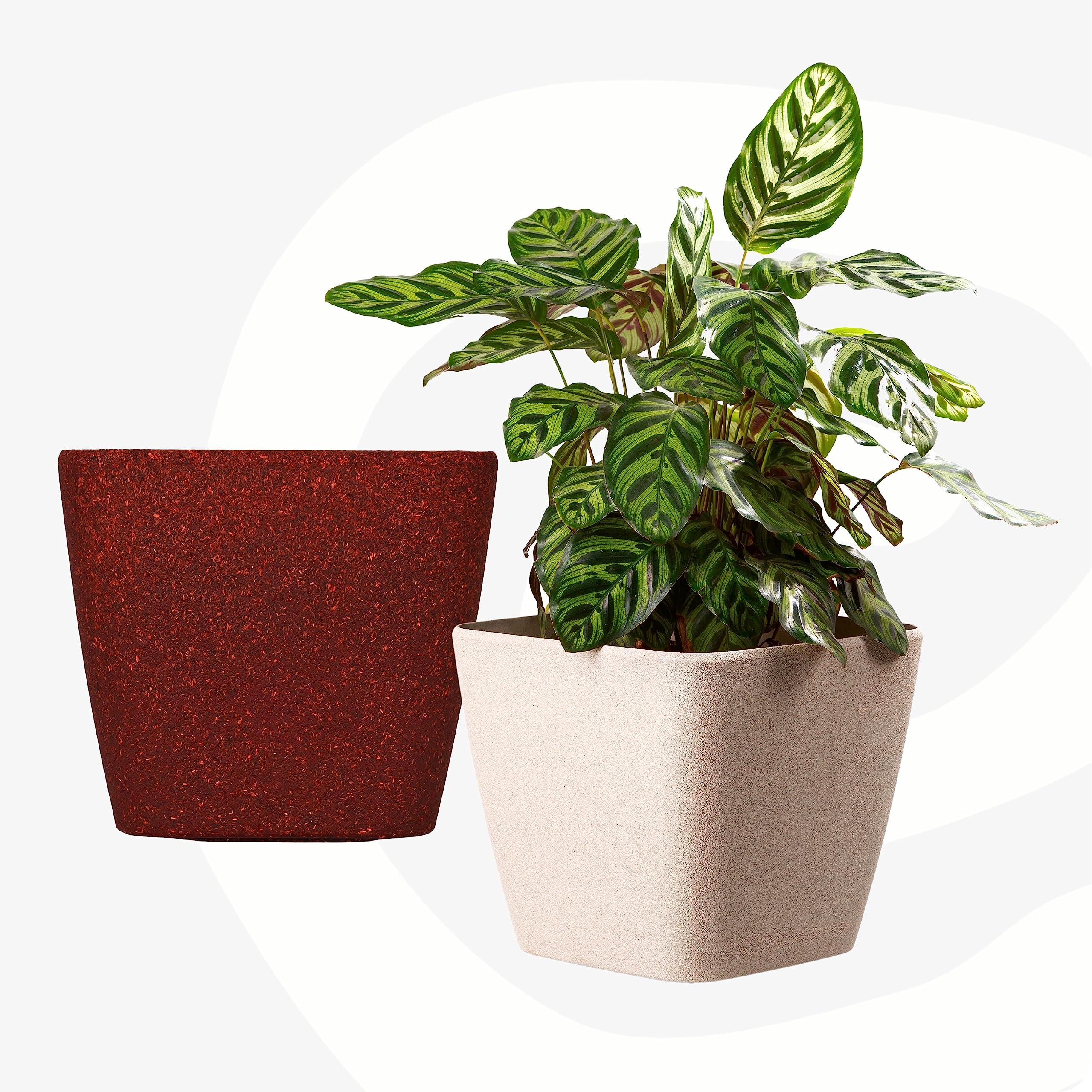 Eha Set of 2 Earth-Friendly Daisy 7" Self-Watering pots and Planters | Bamboo Based | UV Protected | for Indoor, Home Decor, Outdoor, Balcony & Garden | Sand-Coral (B0BY8SL768) Amazon Price History, Amazon Price Tracker