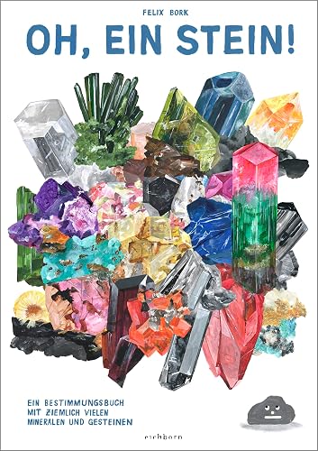 Oh, ein Stein!: Bestimmungsbuch. Mit ziemlich vielen Mineralen und Gesteinen