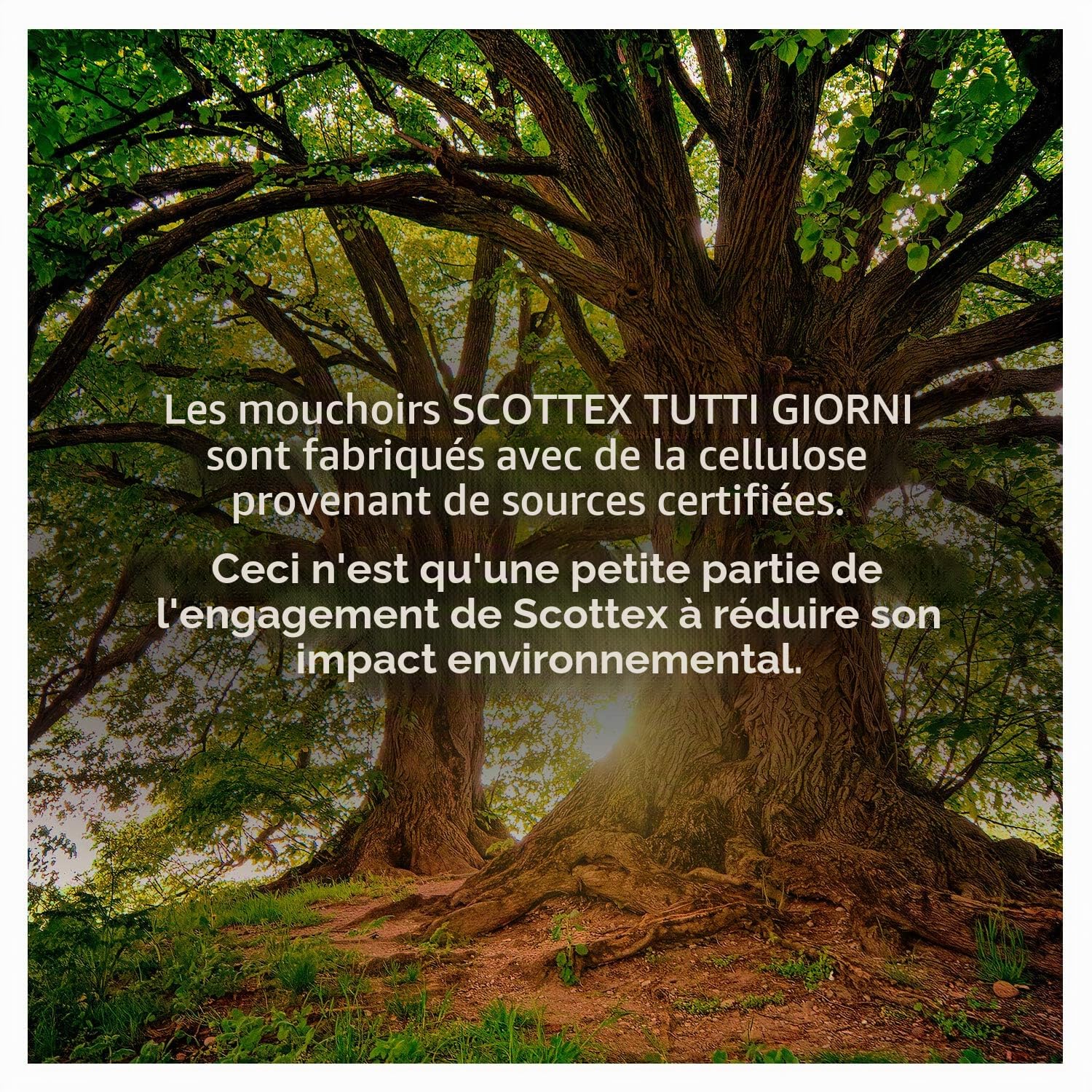 Scottex Tous les jours, Mouchoirs en papier, fabriqués en Italie, avec papier certifié FSC, 56 paquets
