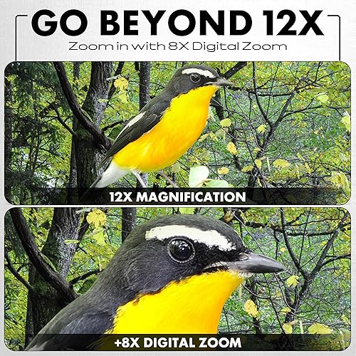 Miniatura 4 de Minolta binoculares digitales 12x32 - Cámara de video 4K UHD, foto de 48MP, zoom digital 8X, pantalla IPS antirreflejos, ópticas resistentes a la