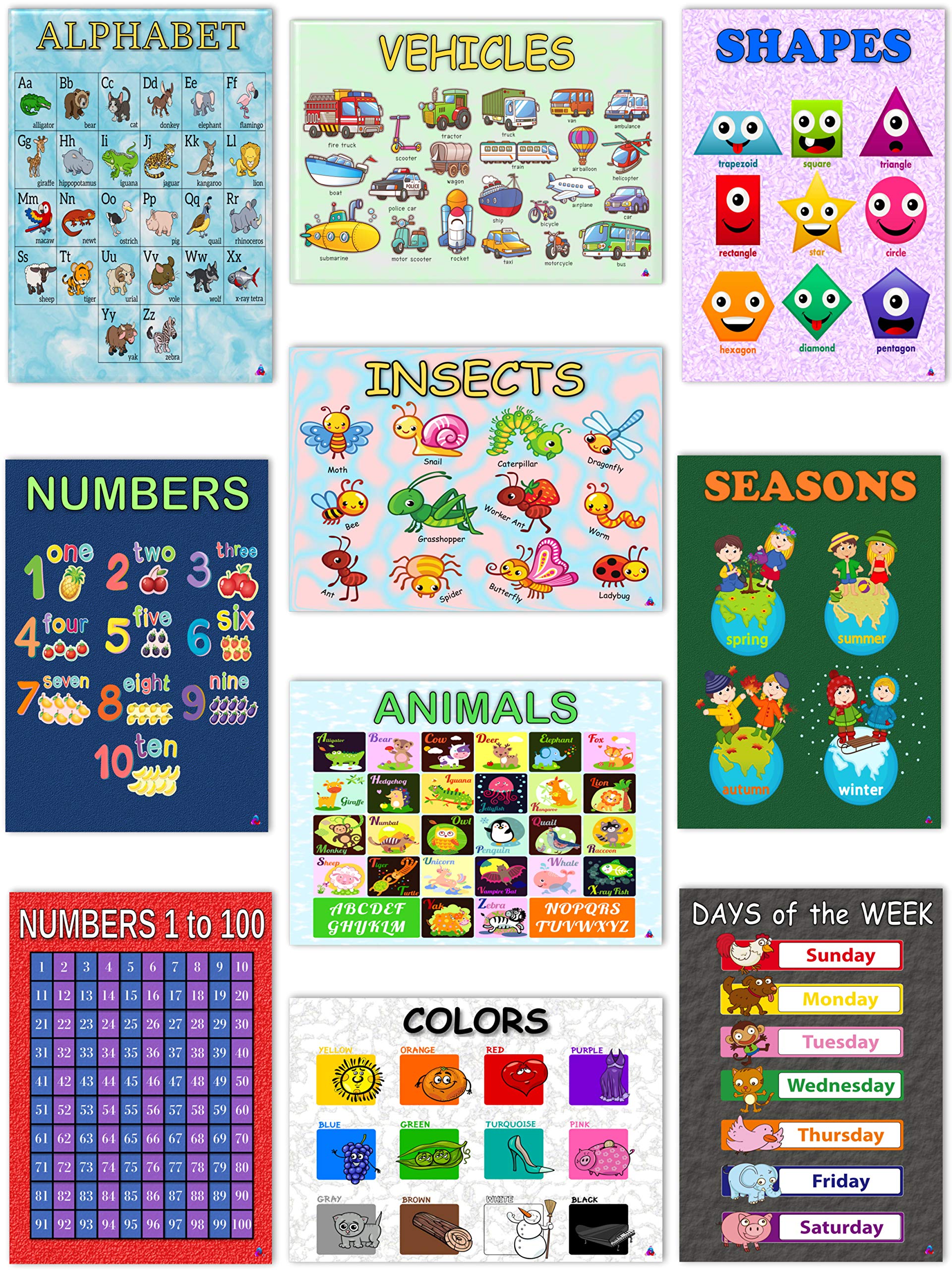 Buy 10 Laminated Educational Classroom s for Preschool and Toddler