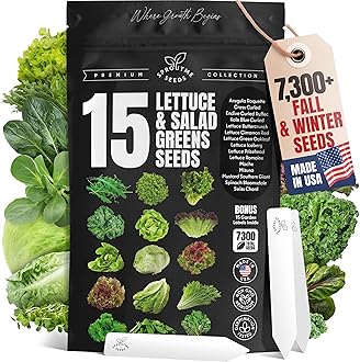 Cold Season Lettuce & Salad Greens Seeds – 15 Fall & Winter Garden Mix, 7300+ Non-GMO Heirloom Seeds Indoor Outdoor Planting