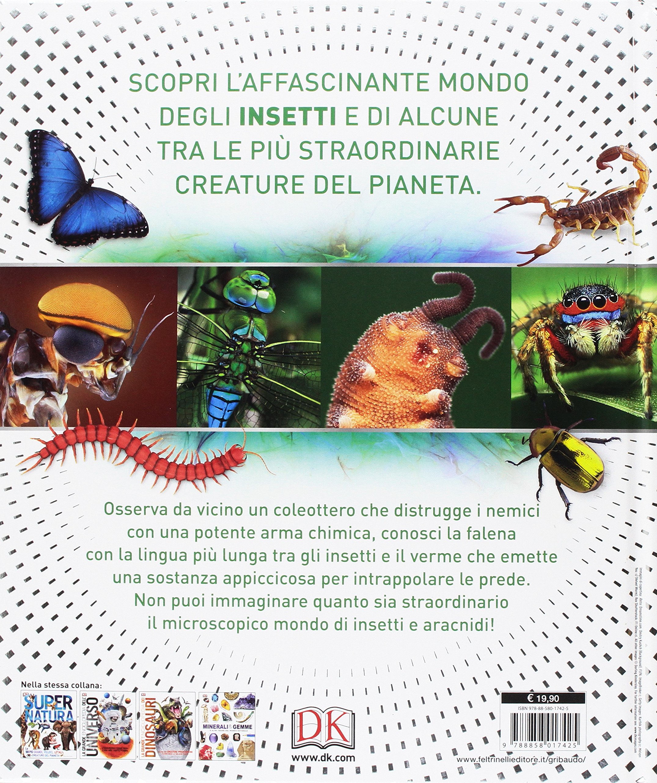Superinsetti. Ediz. a colori