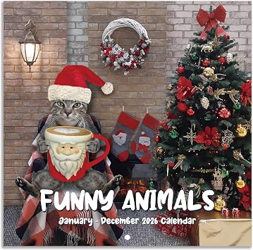 2026 Wall Calendar - Jan 2026 - Dec 2026, 12" x 24" Open, 12 Months Calendar, Funny Cat Calendar 2026 for Home, Office, School