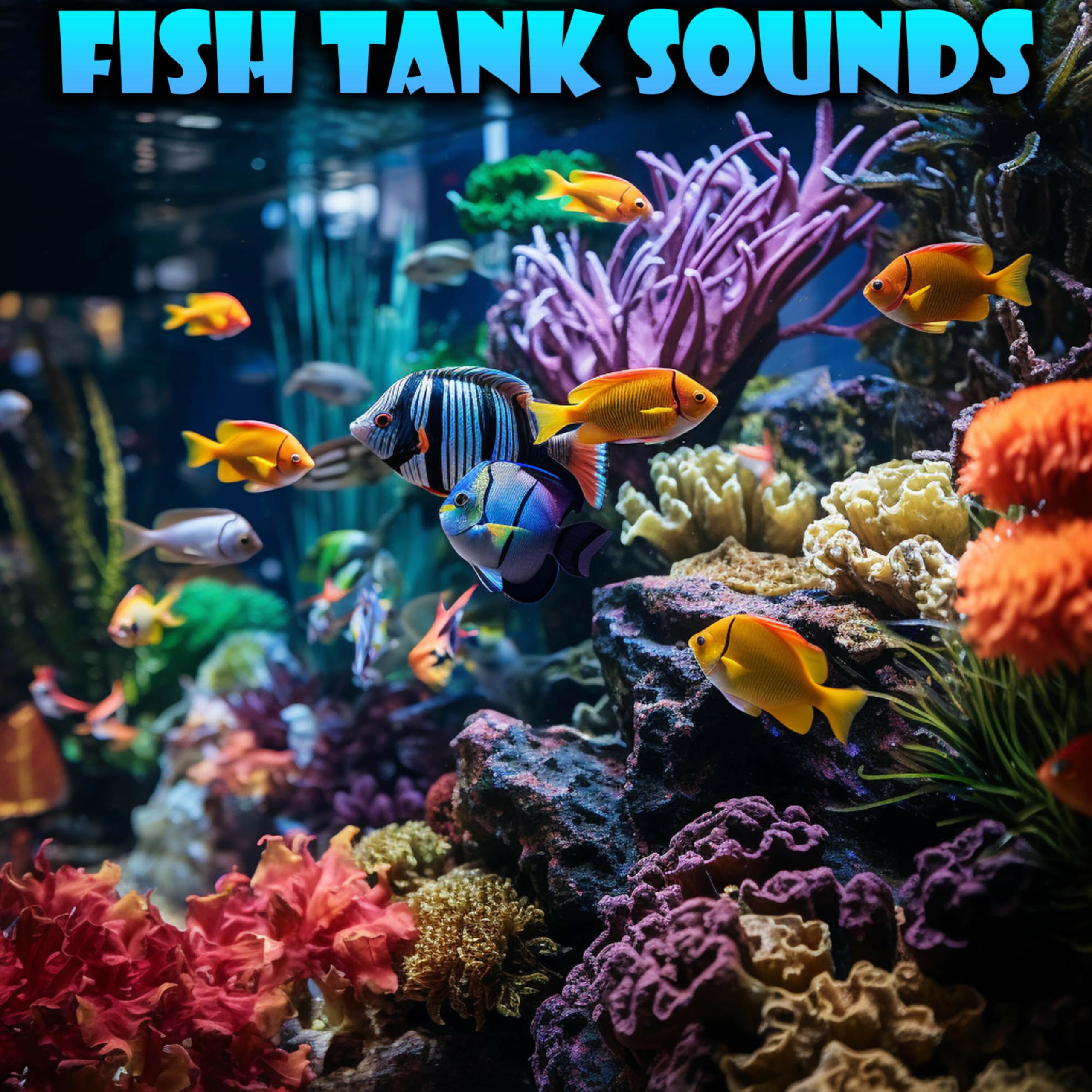 Fish Tank Sounds