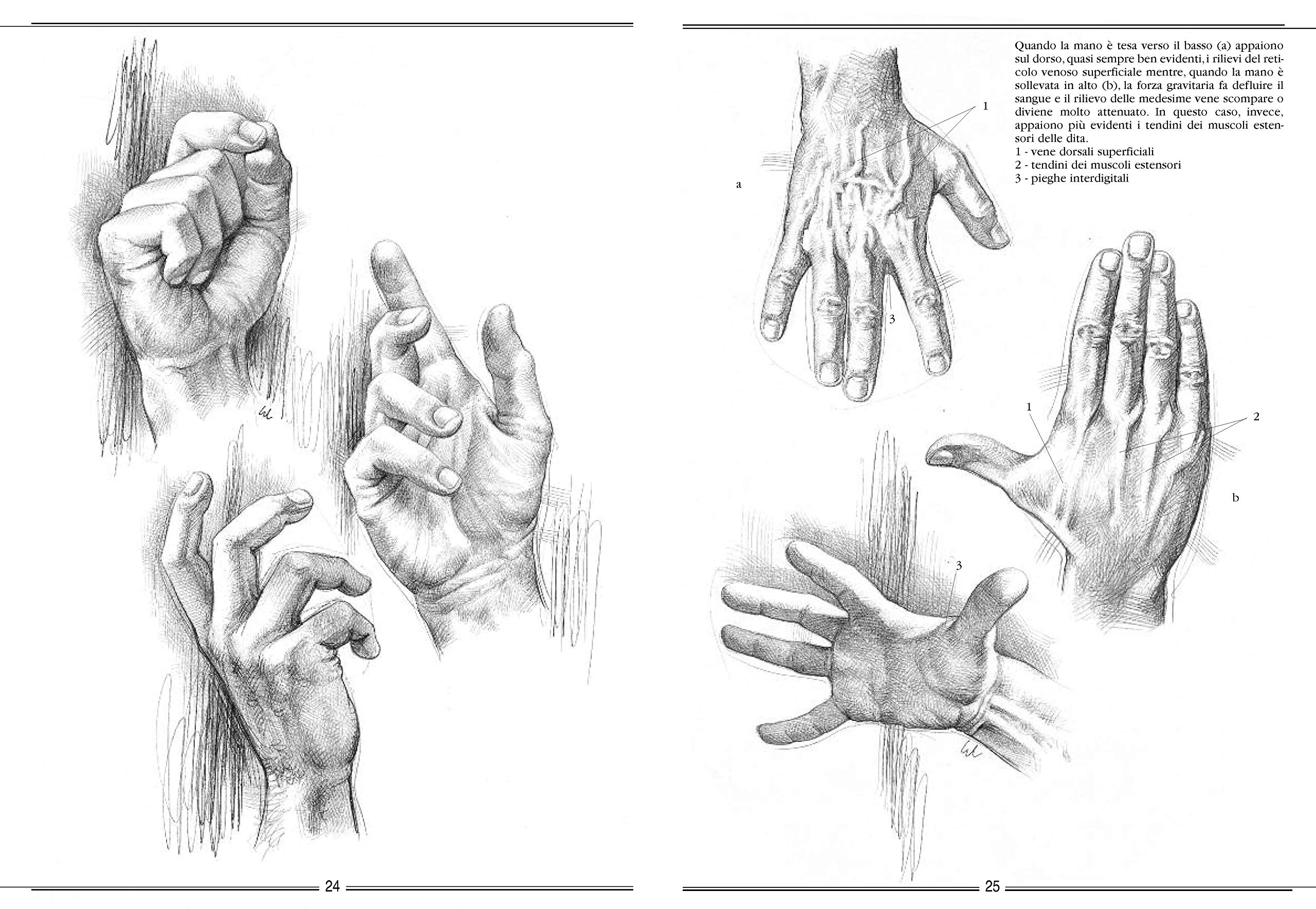 La mano e il piede