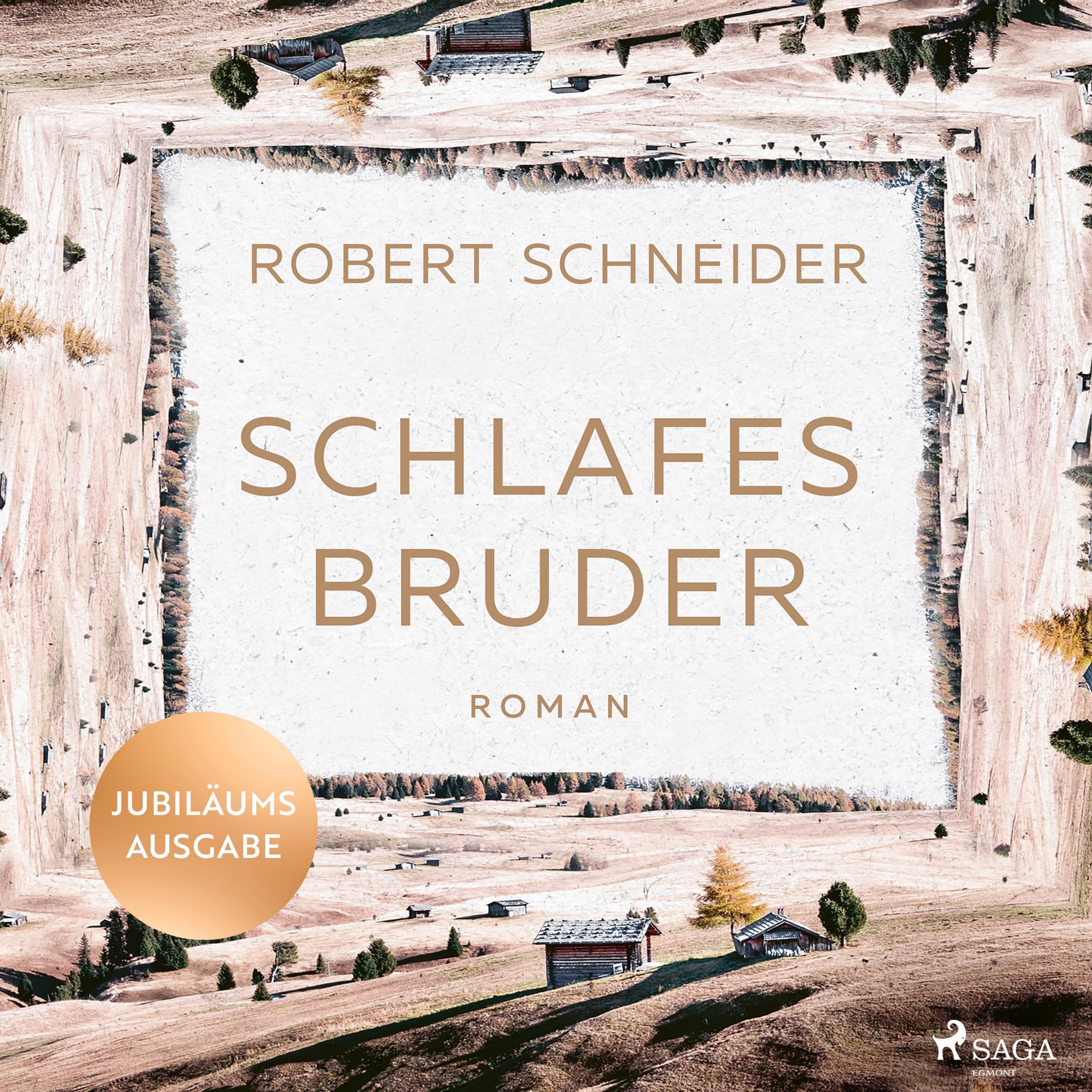 Cover art for Schlafes Bruder